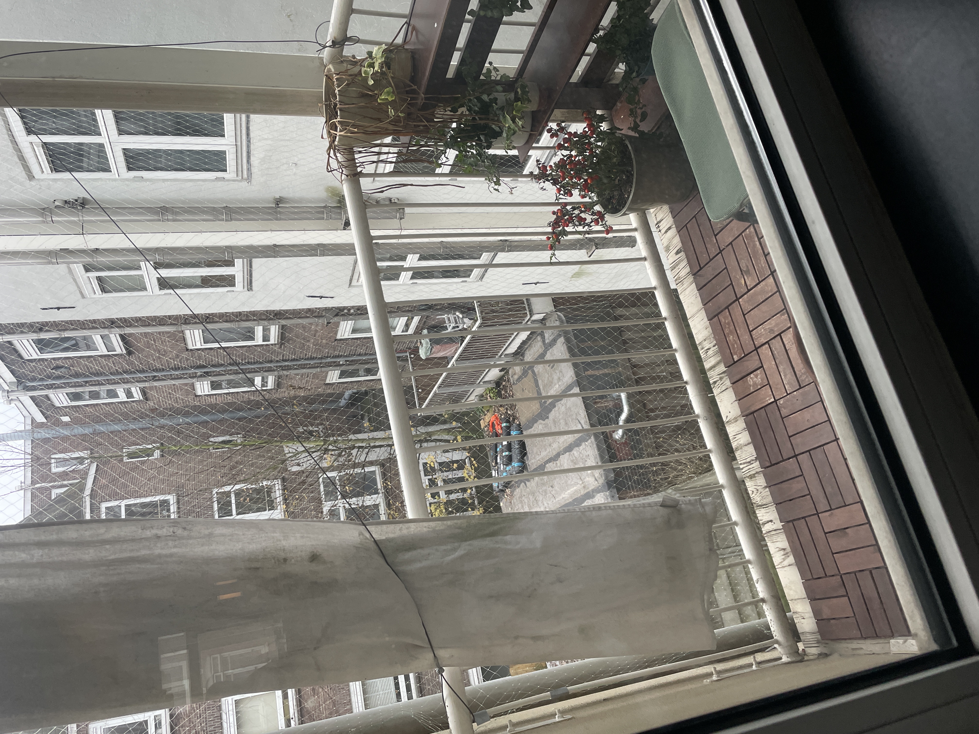 image-20