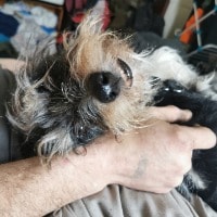 Dickie