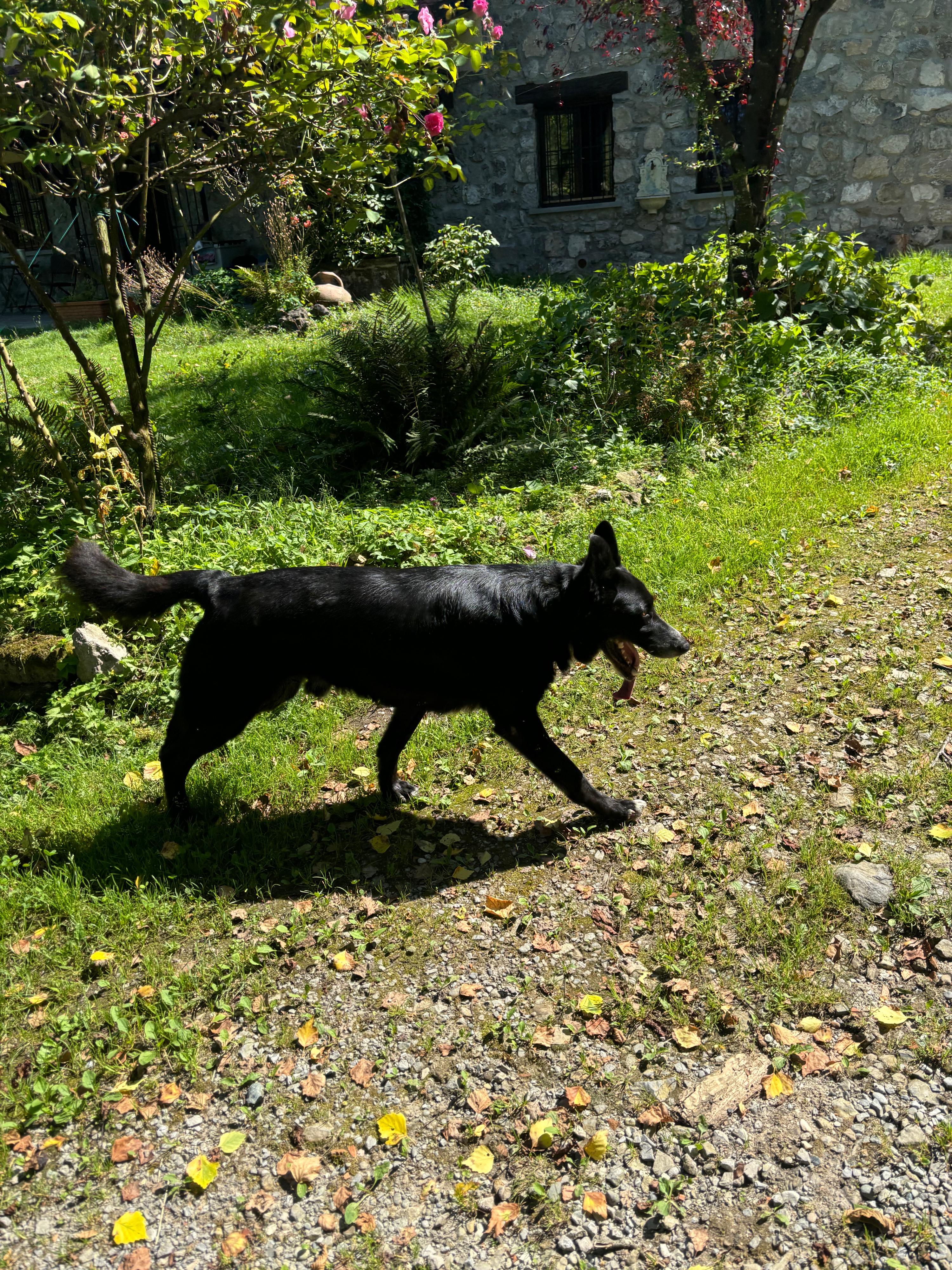 image-4