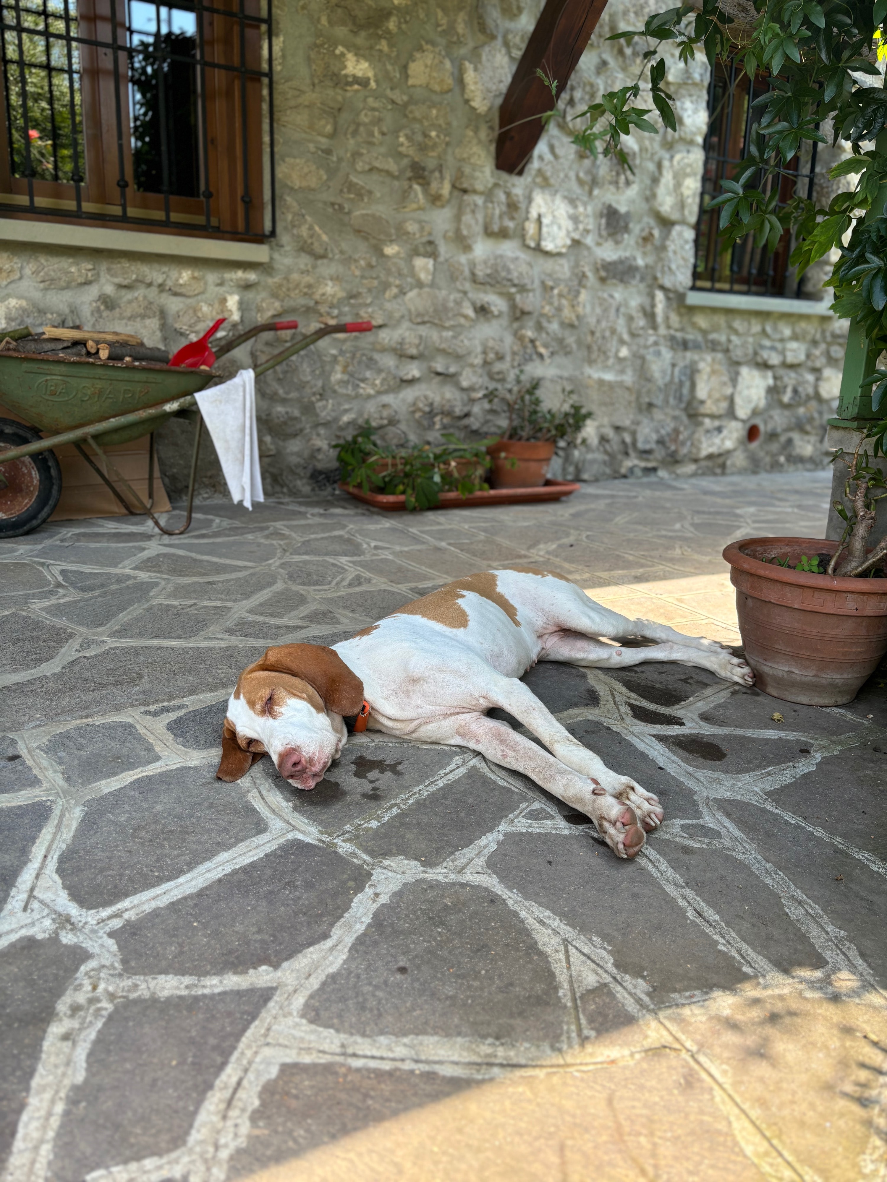 image-13
