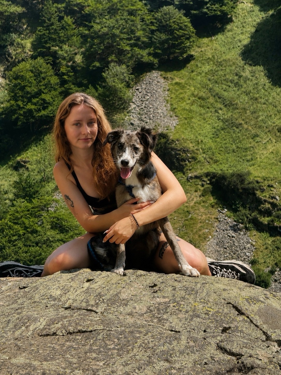 image-6
