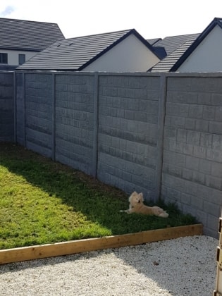 image-9