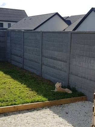 image-9