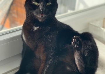 Luna
