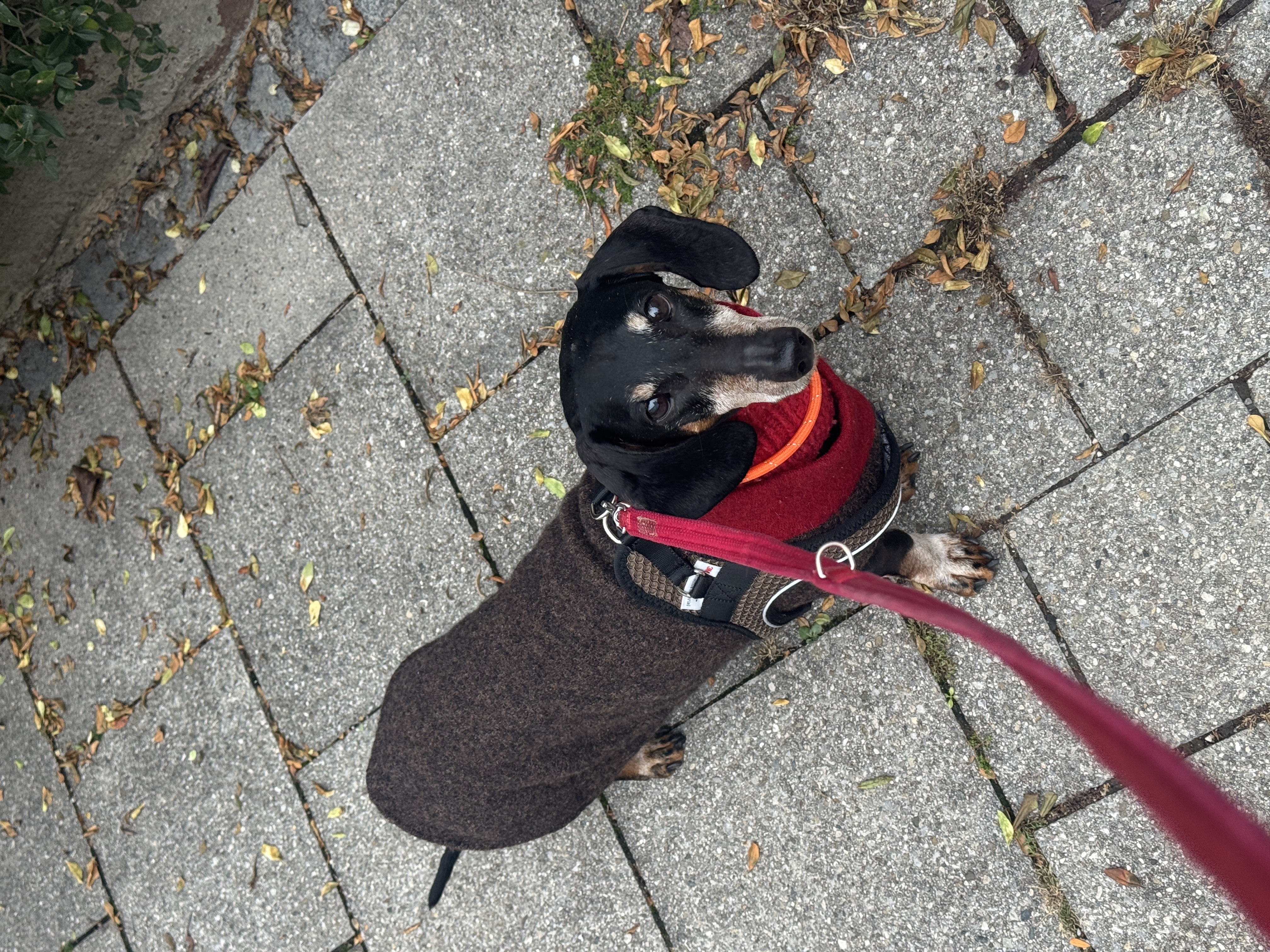 image-29