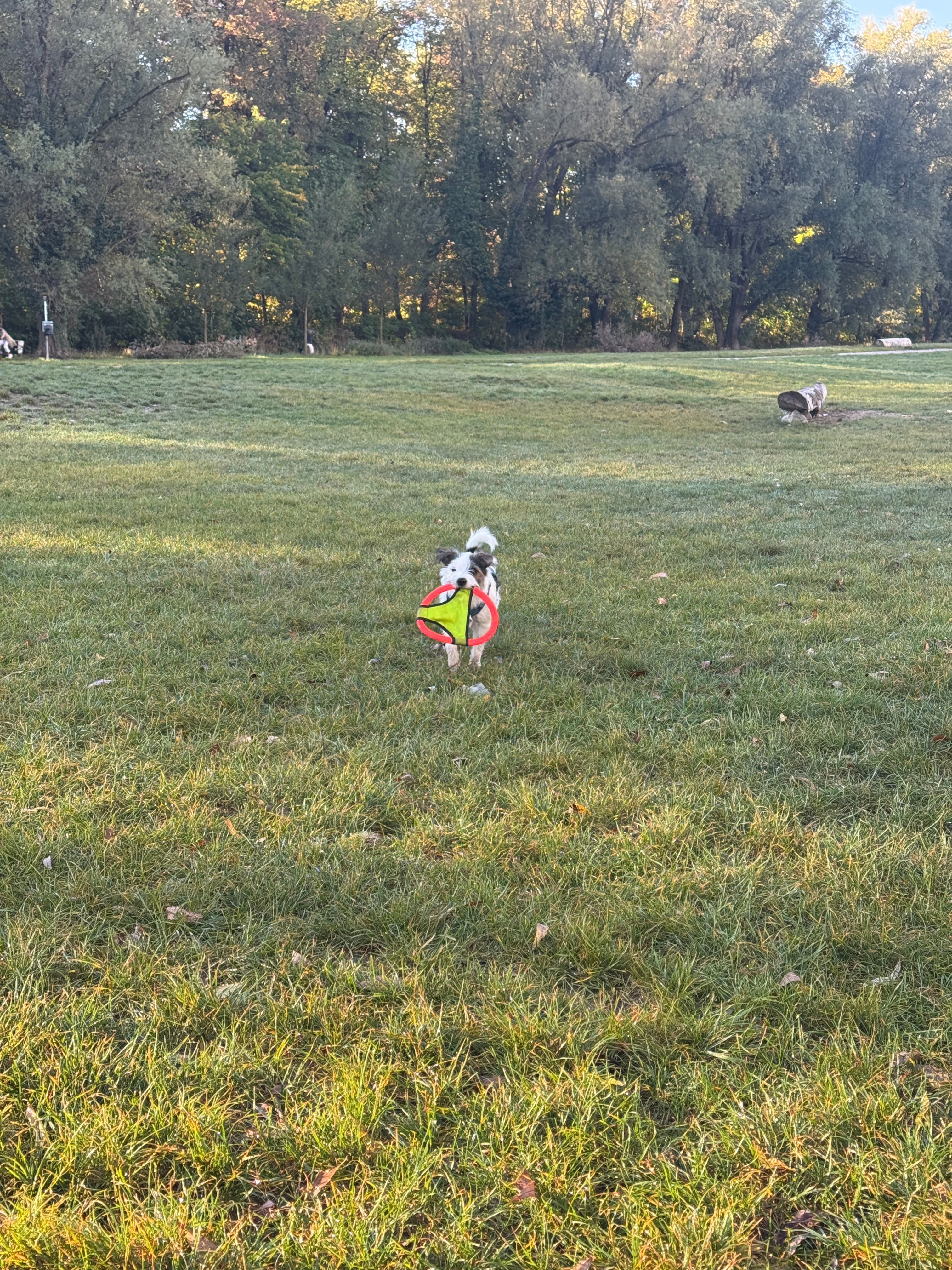 image-43