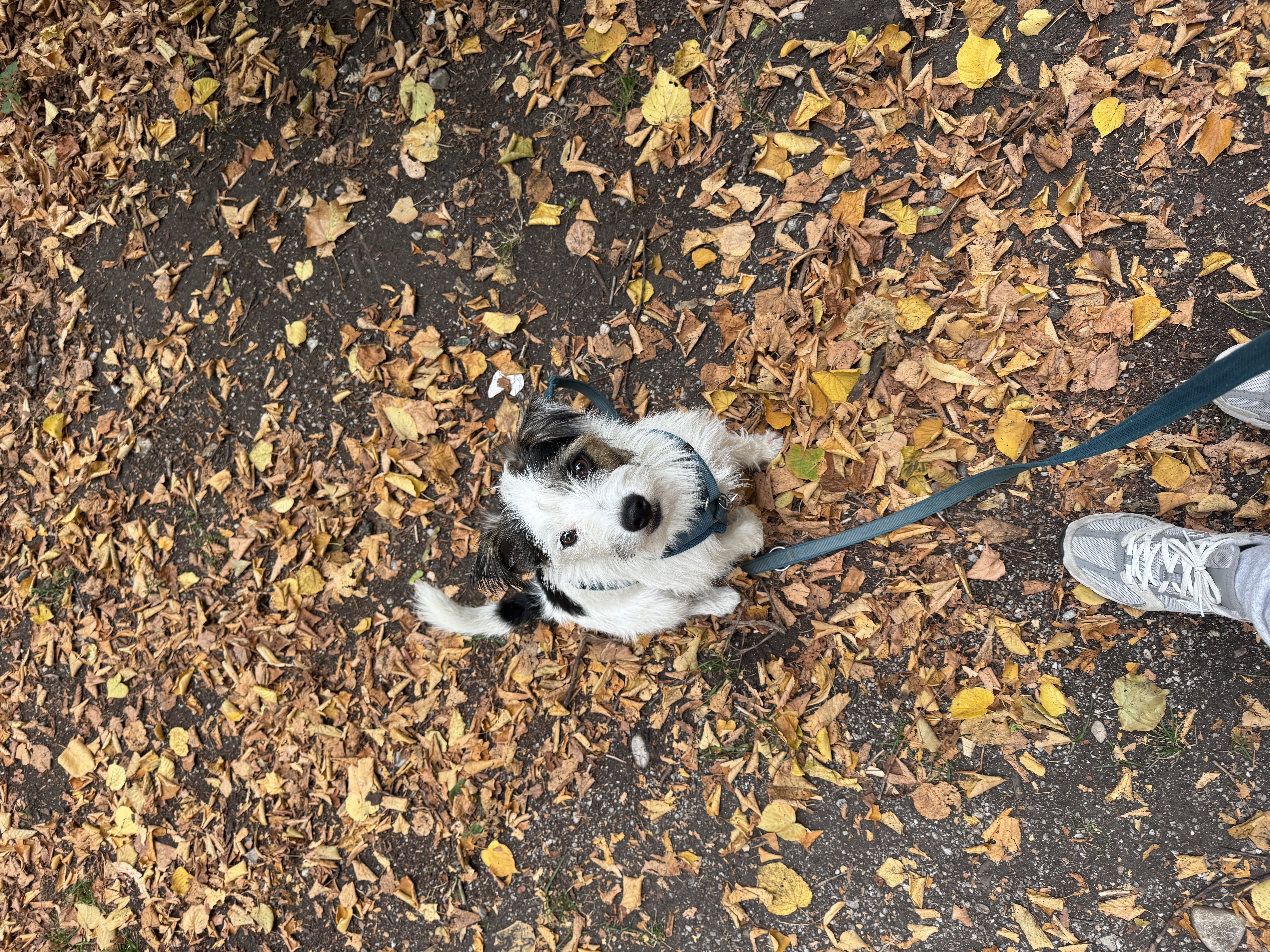 image-44