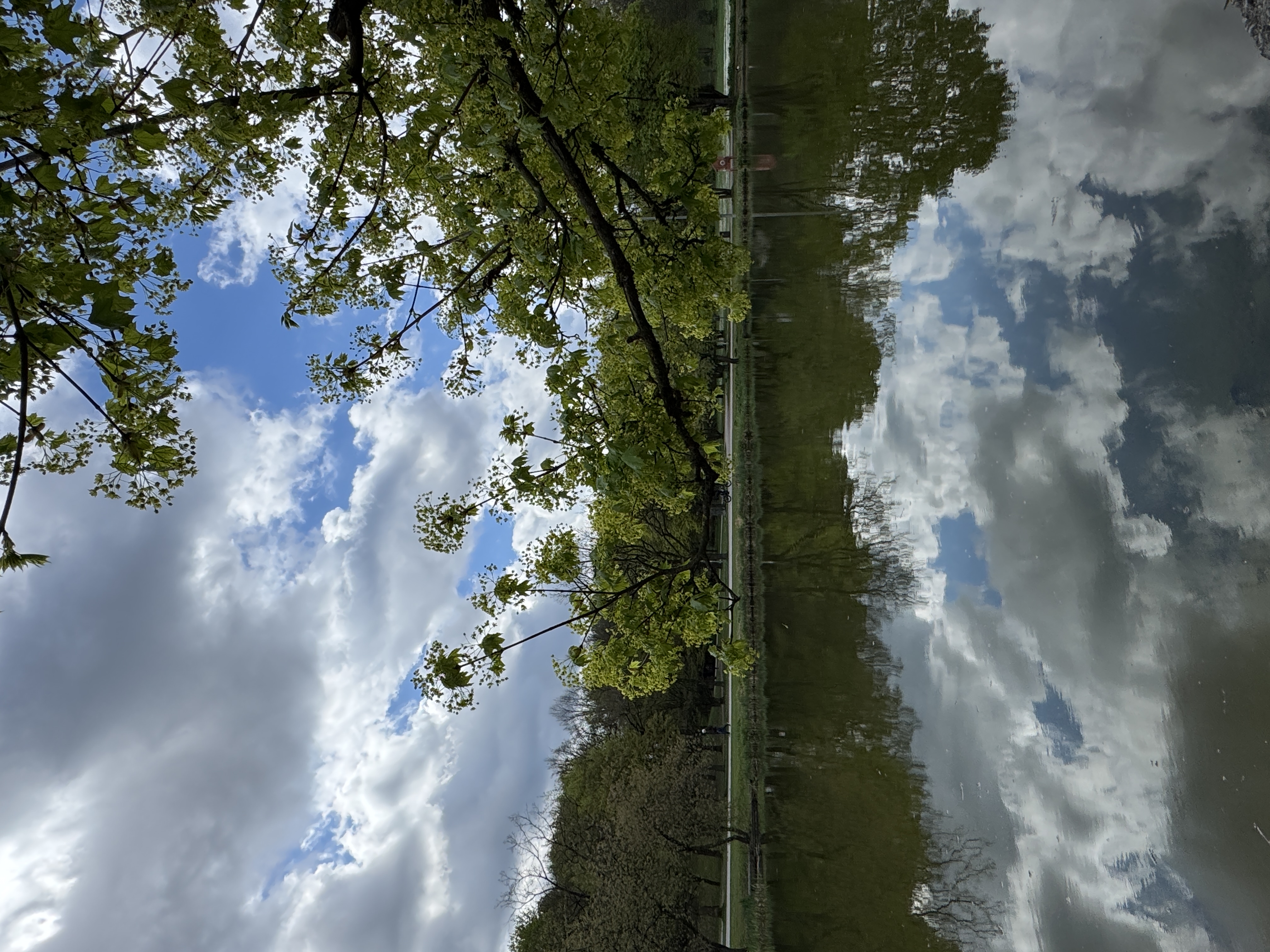 image-50
