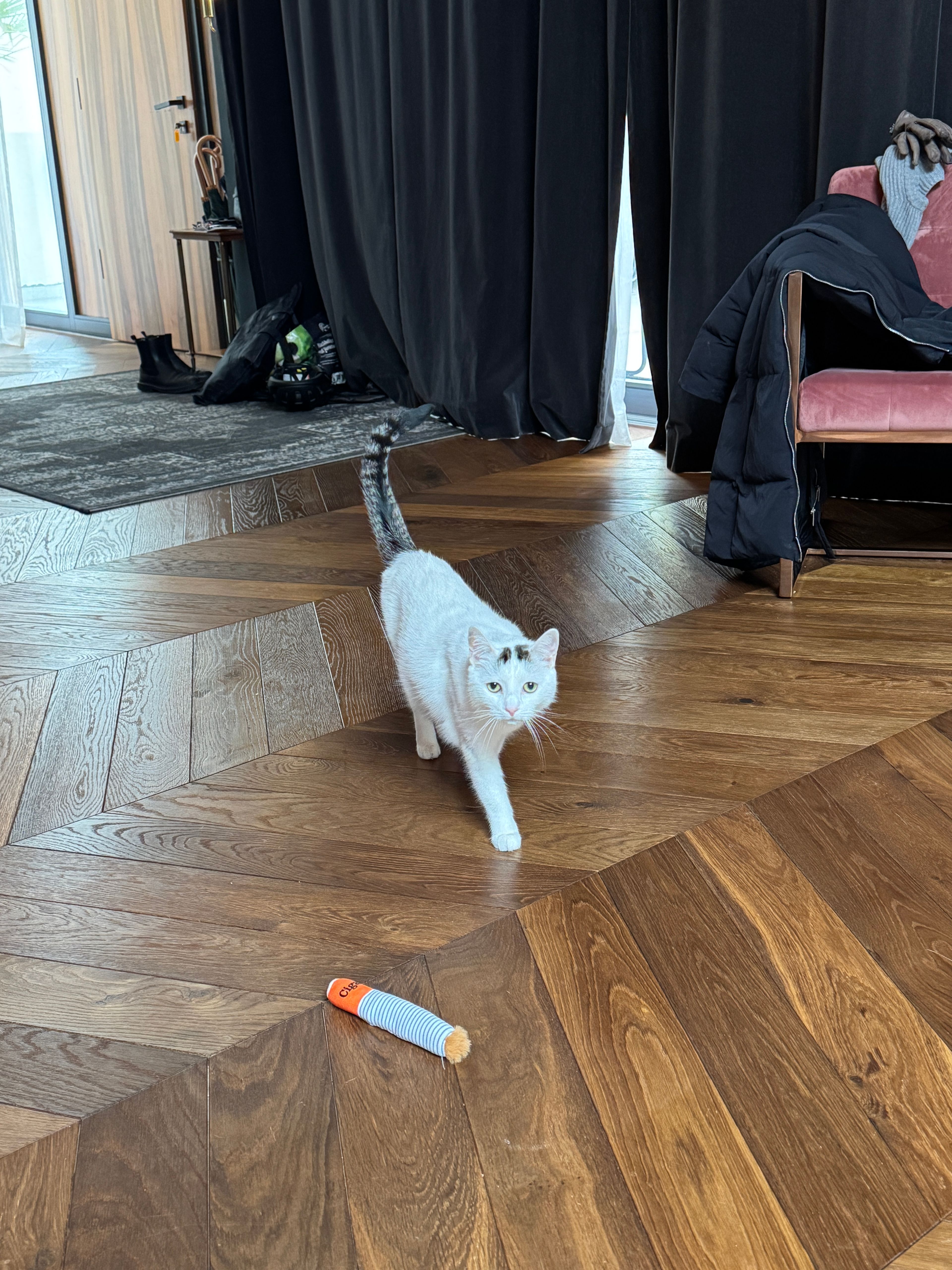image-7