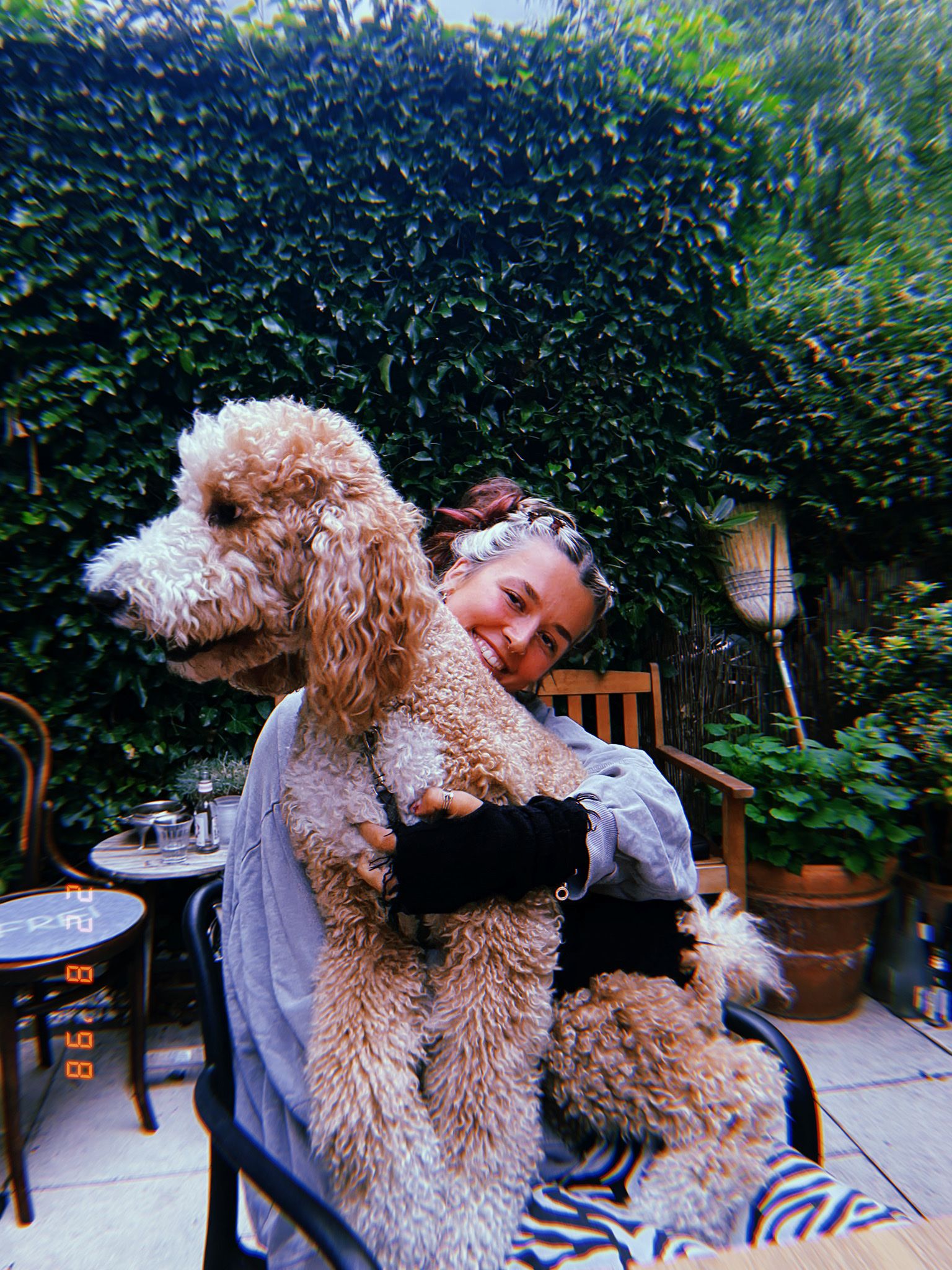 image-8