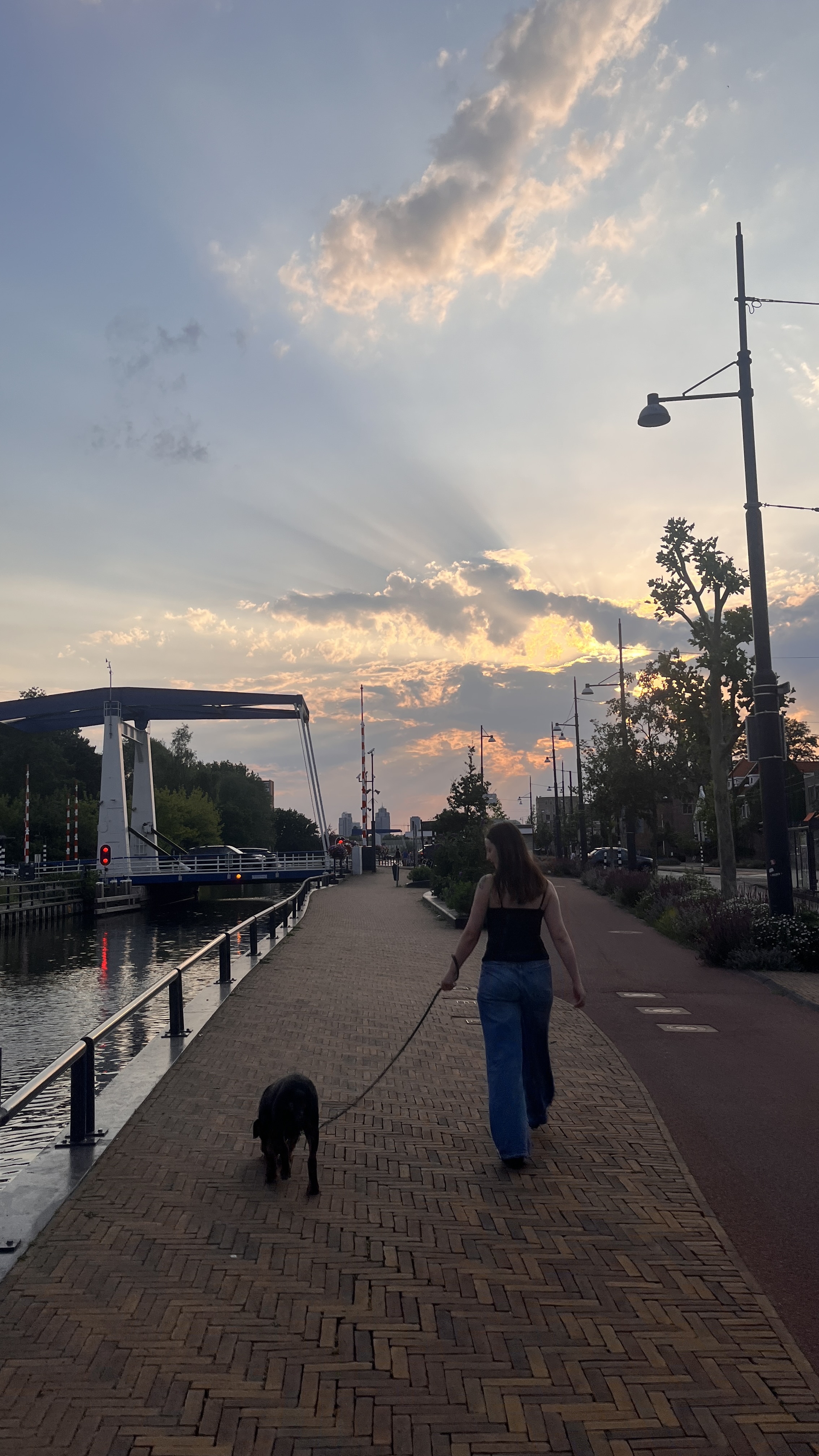 image-20