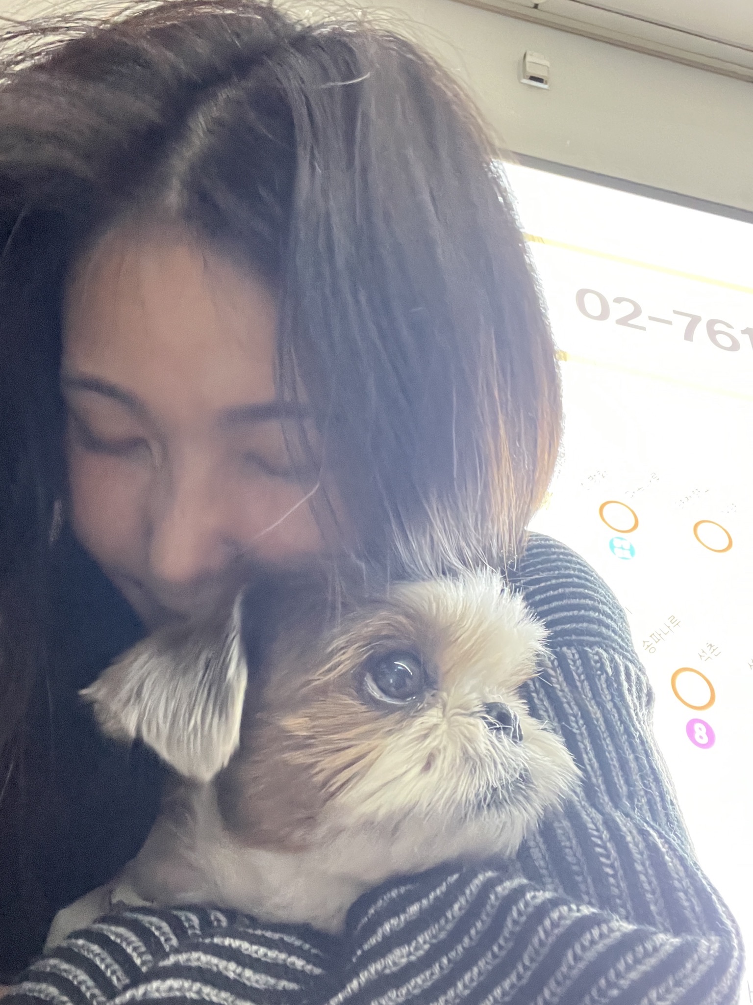 image-6