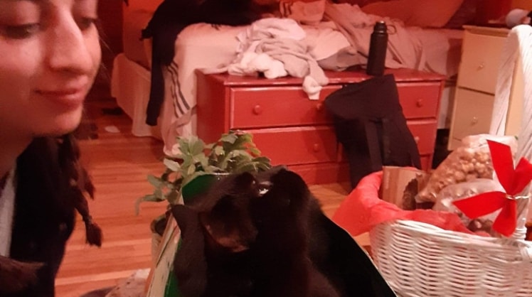 image-8