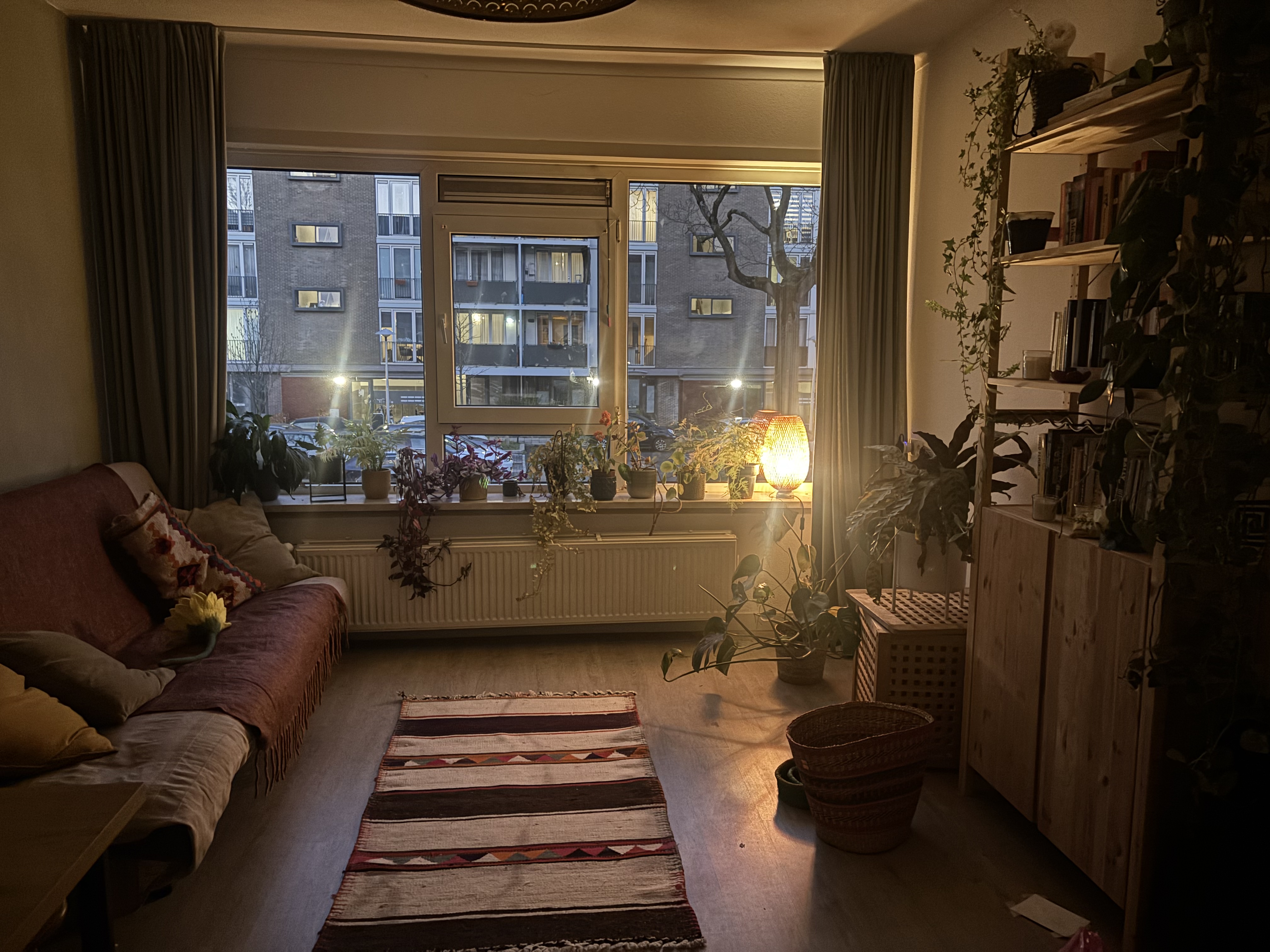image-11