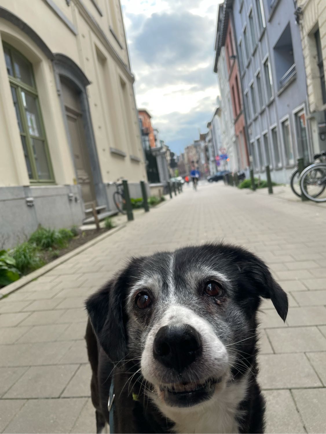 image-8