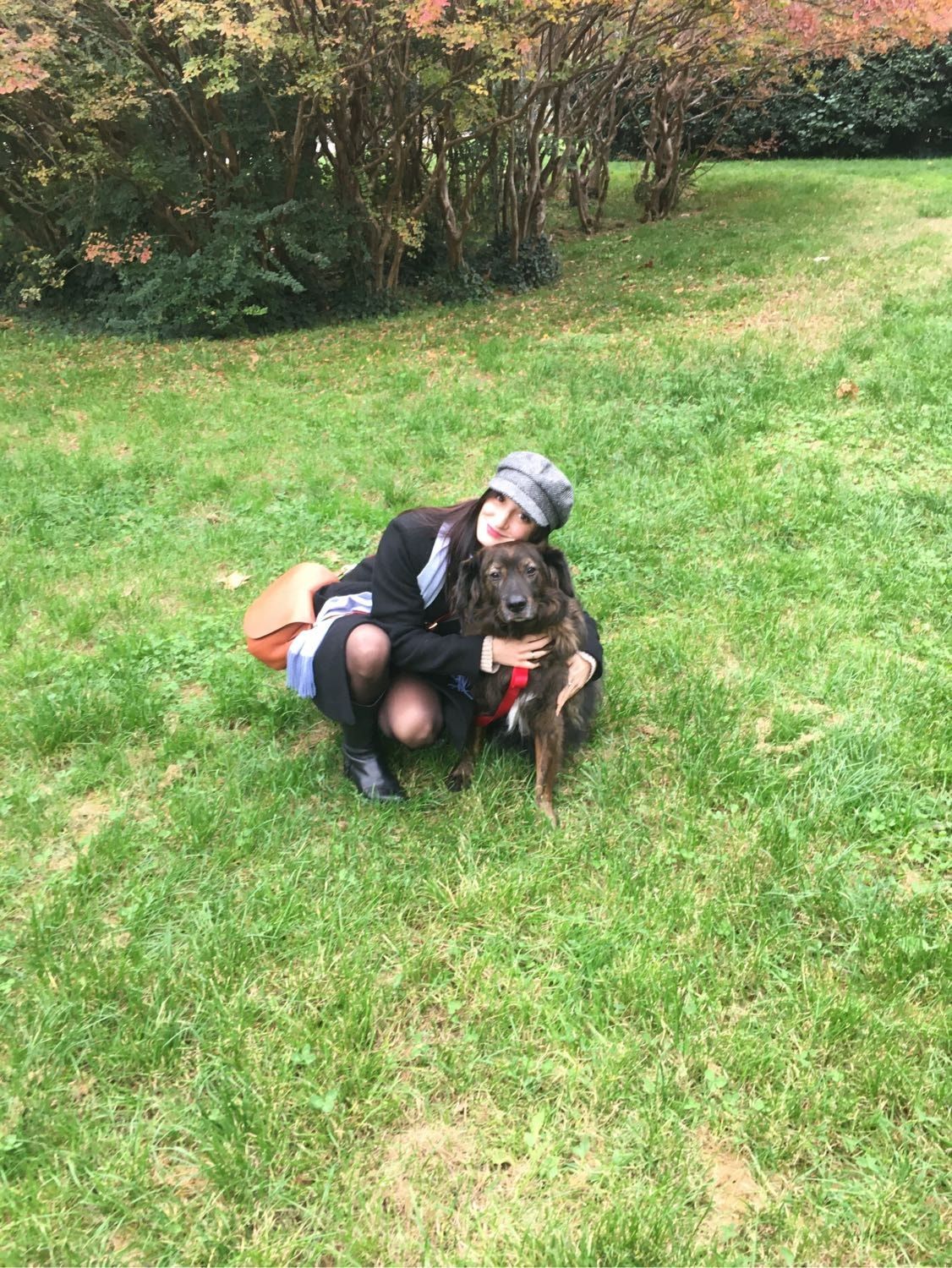 image-5
