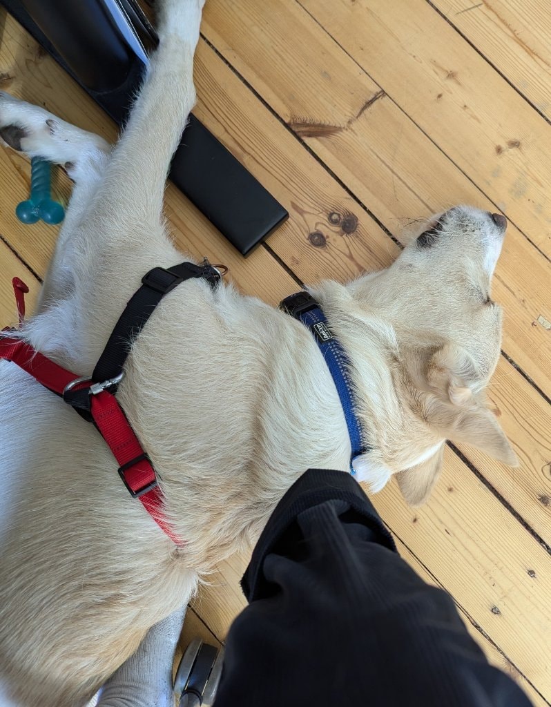 image-6