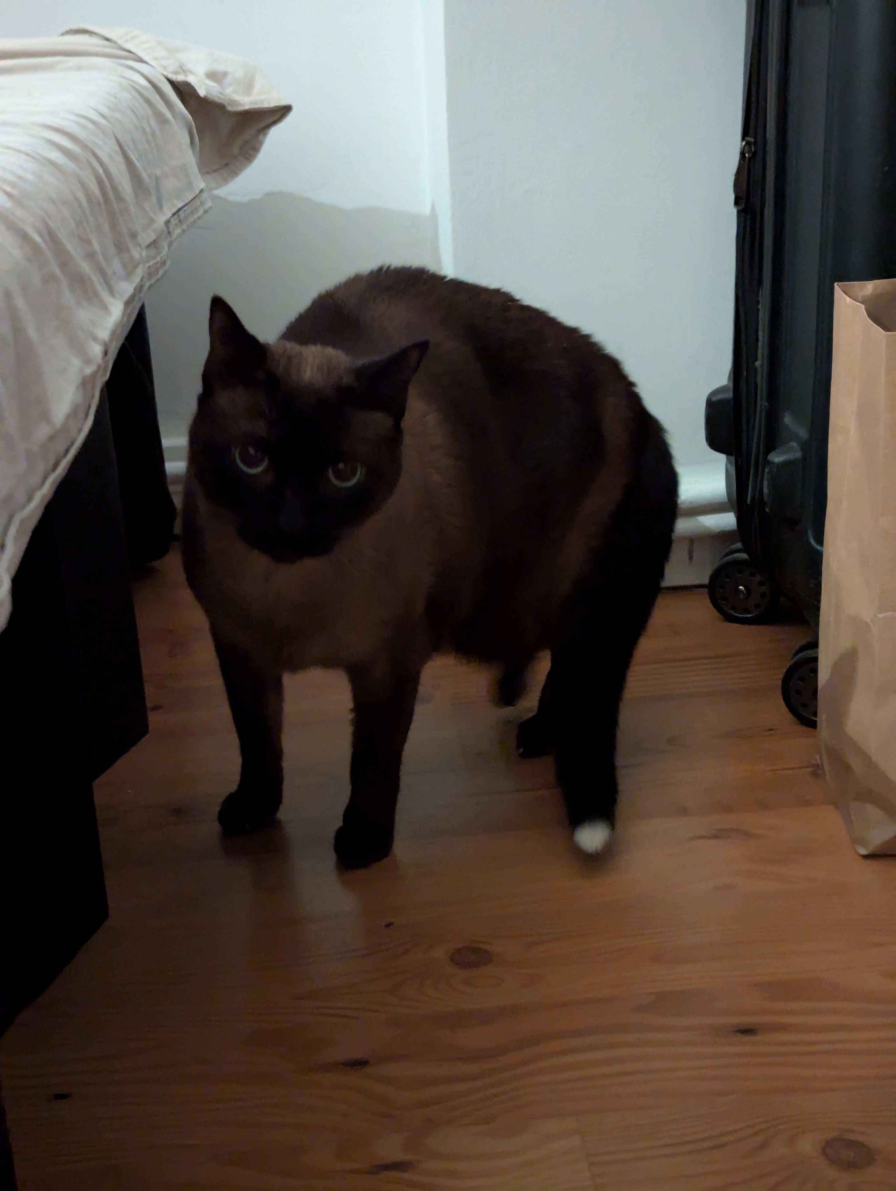 image-29