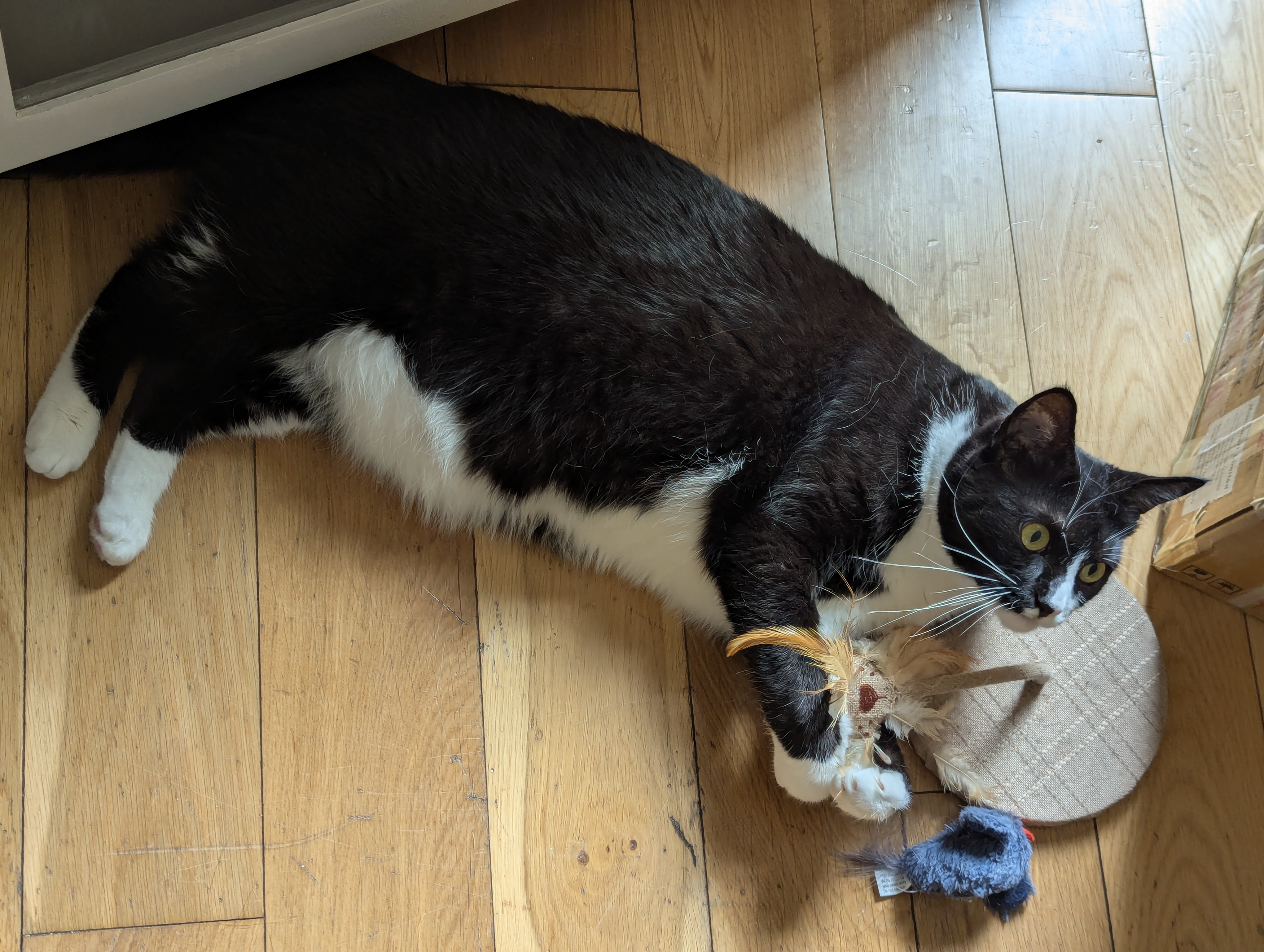 image-12