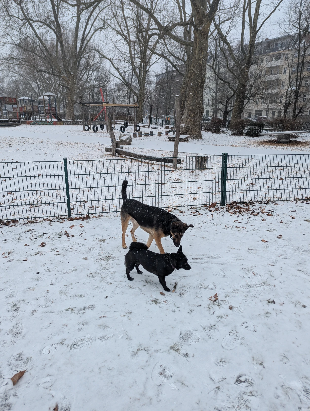 image-17