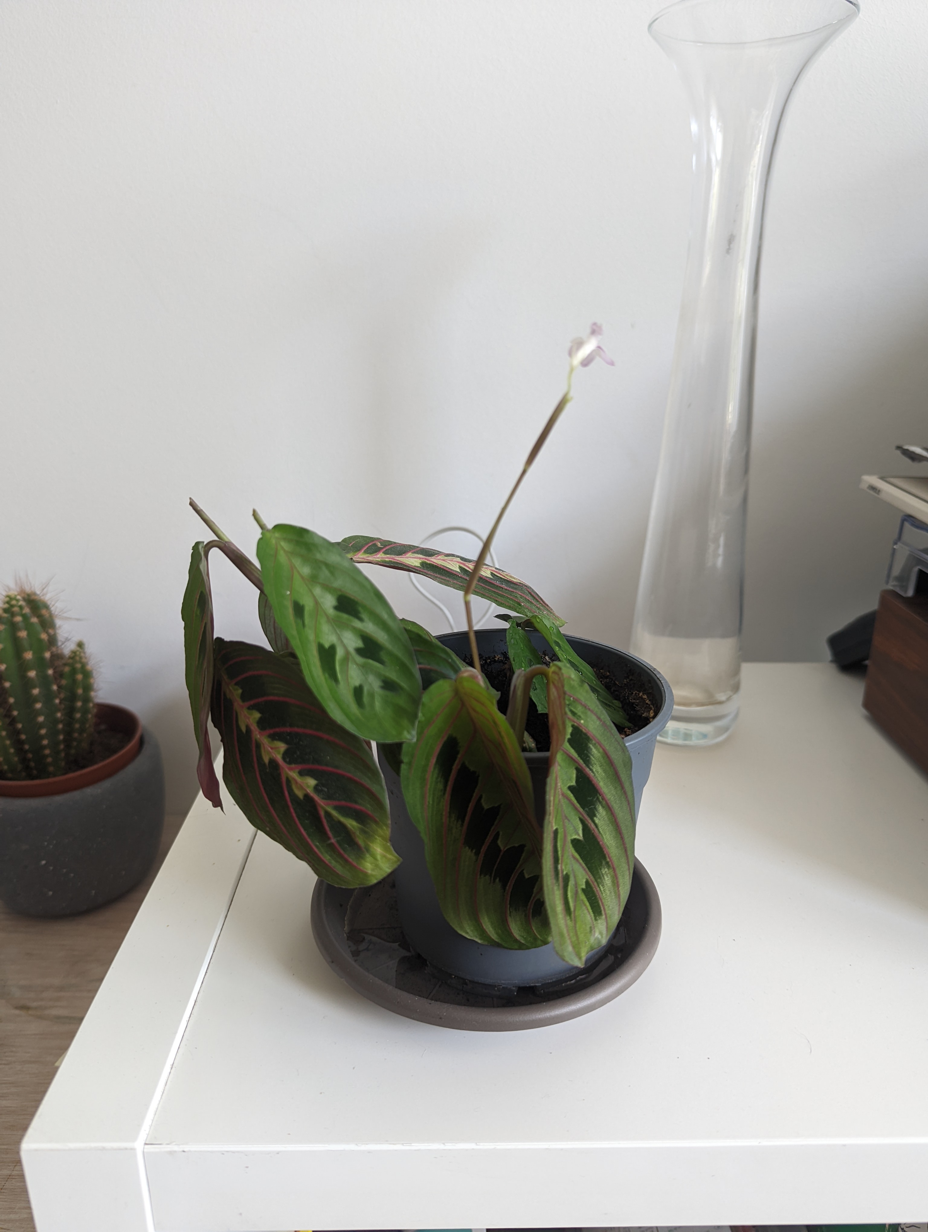 image-19