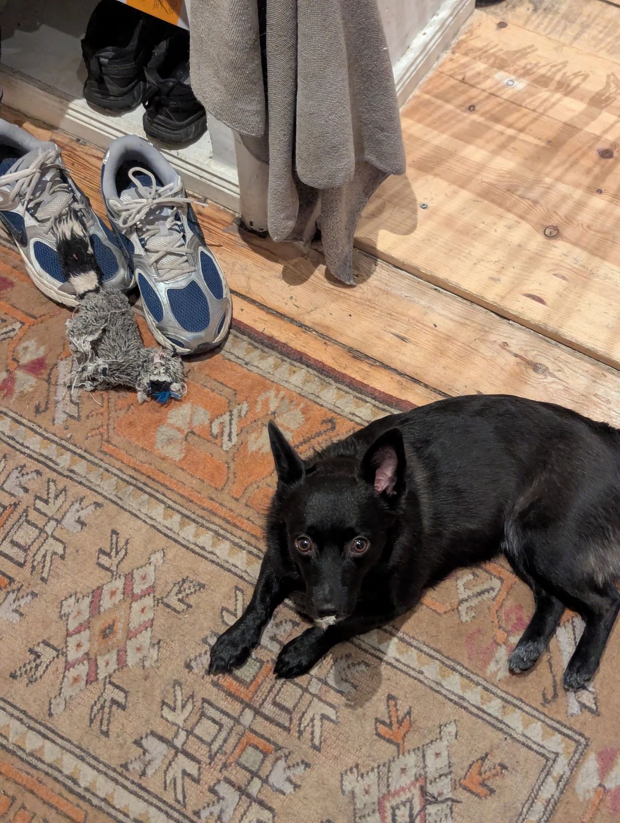 image-16