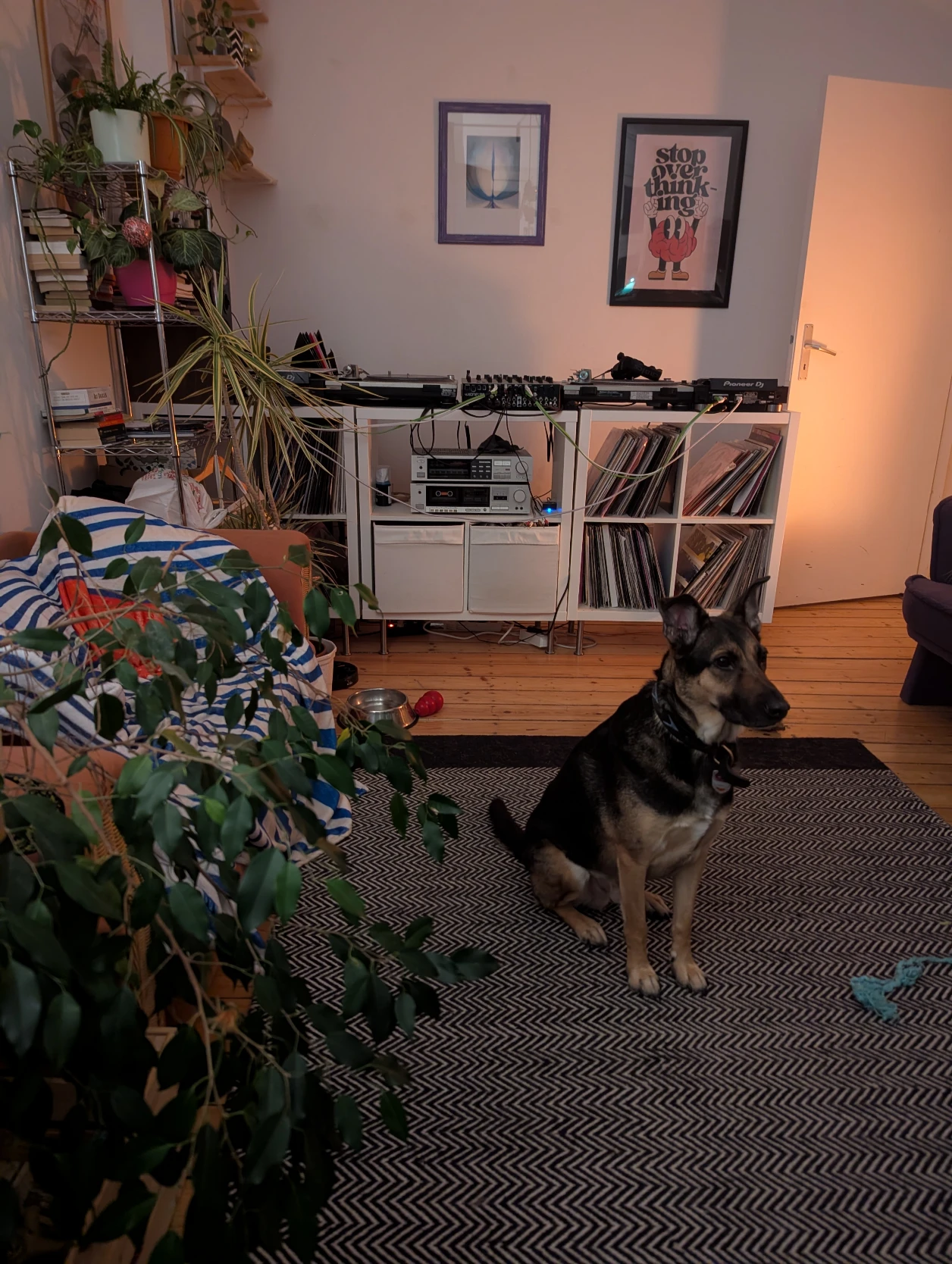 image-47