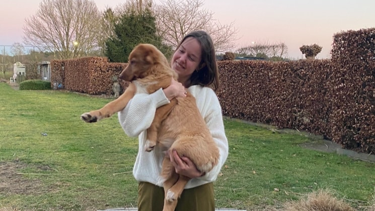 image-0