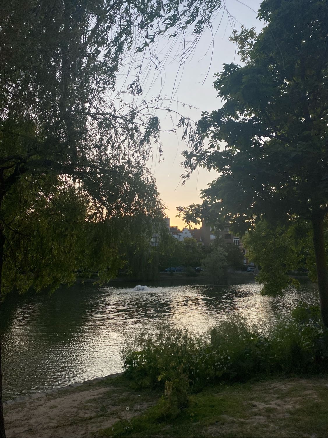image-8