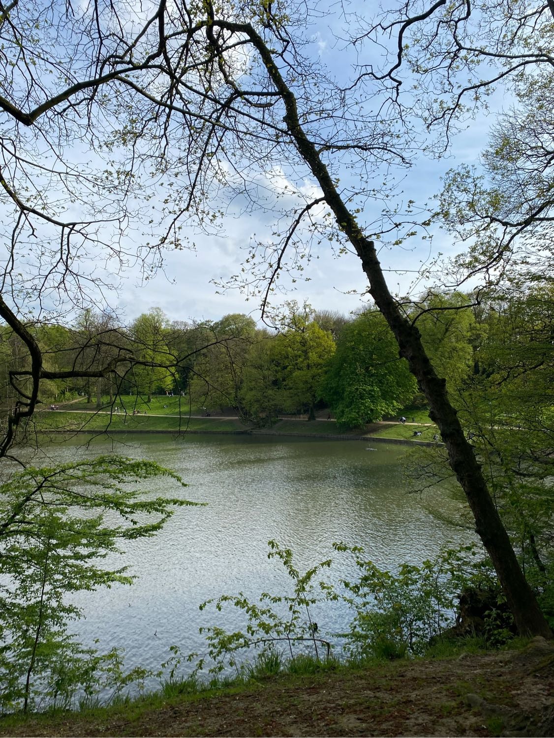 image-9