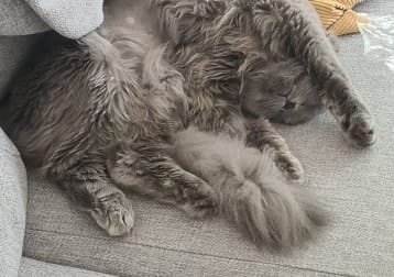 Benny