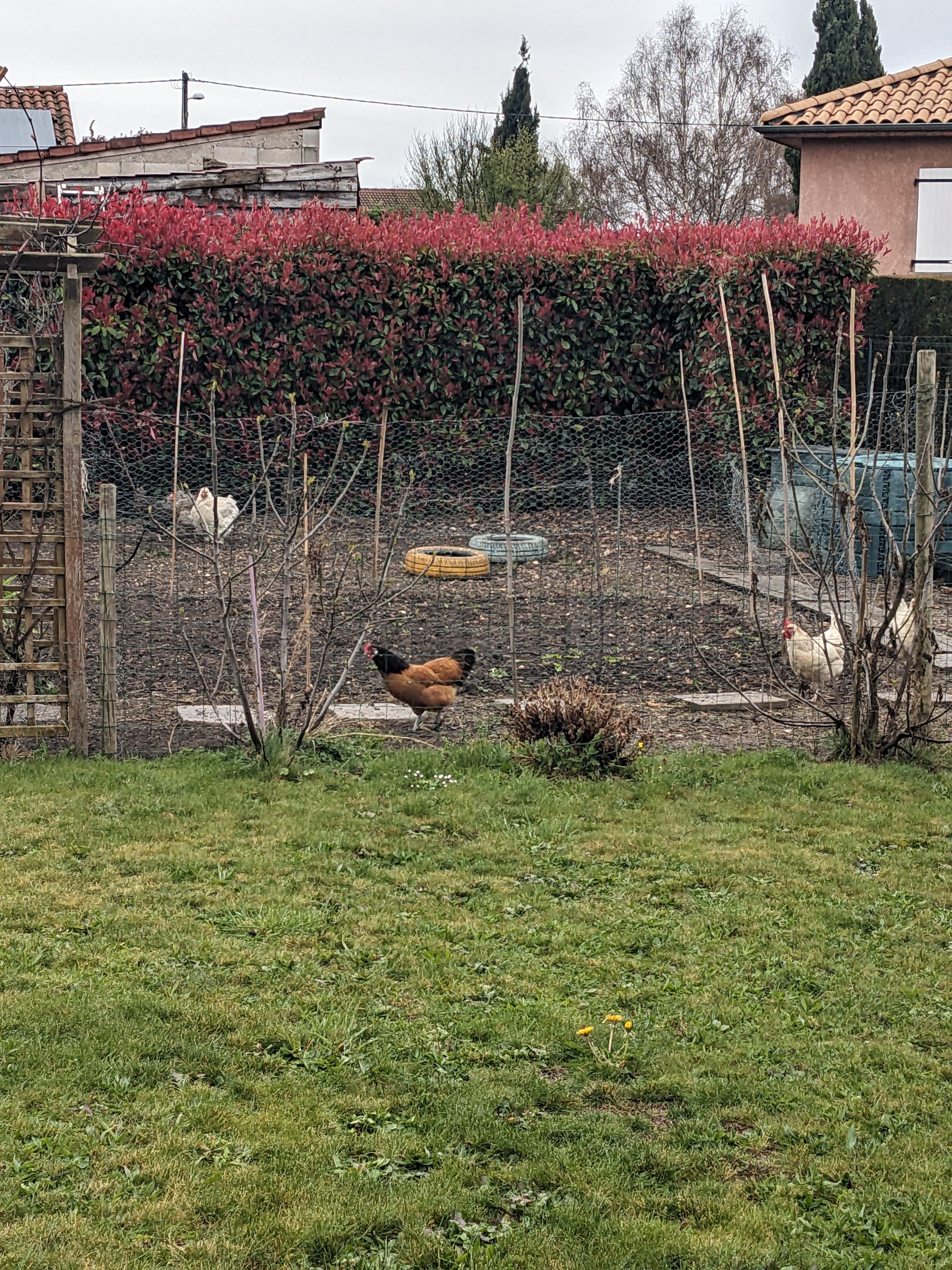 image-11