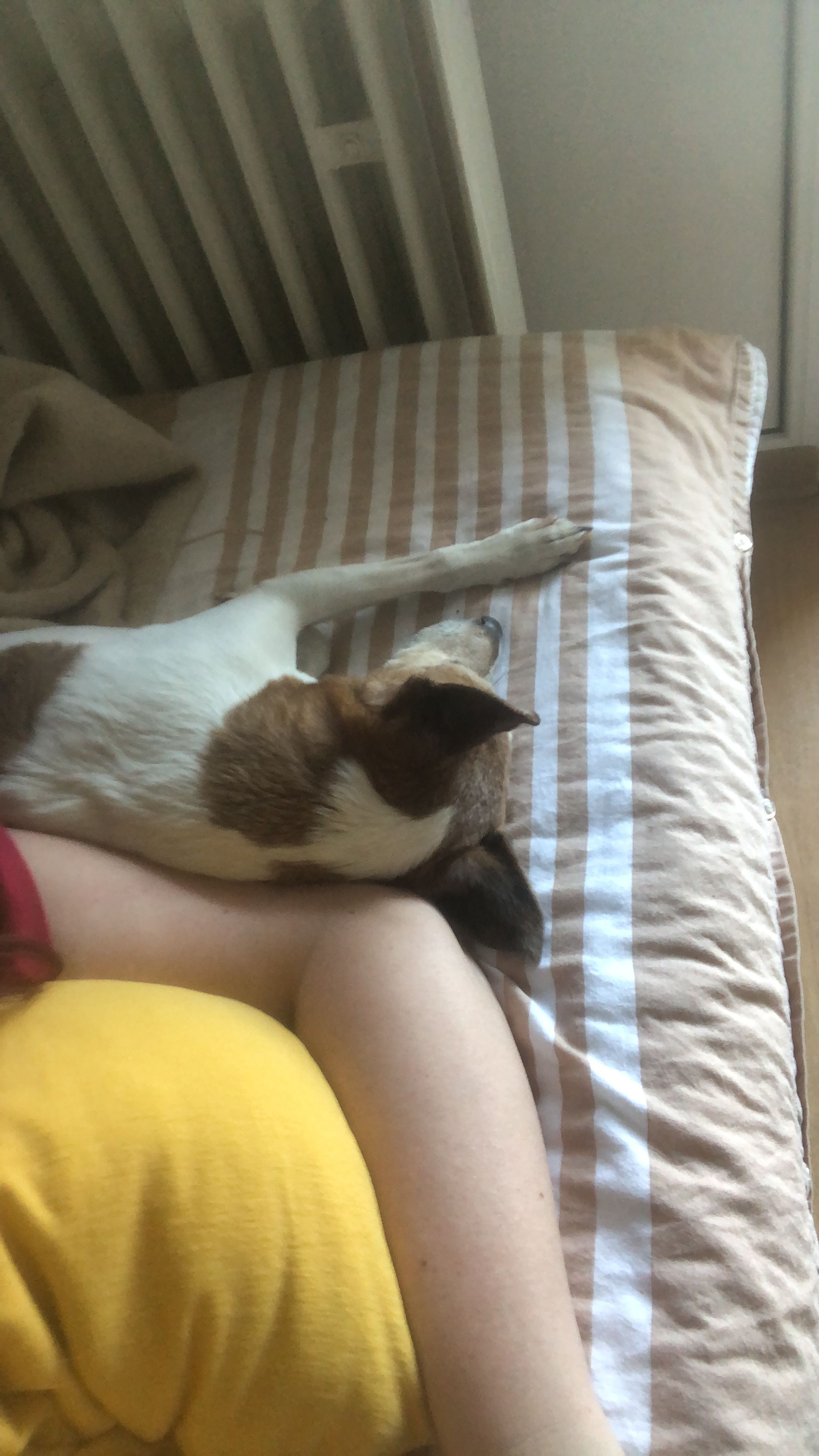 image-10