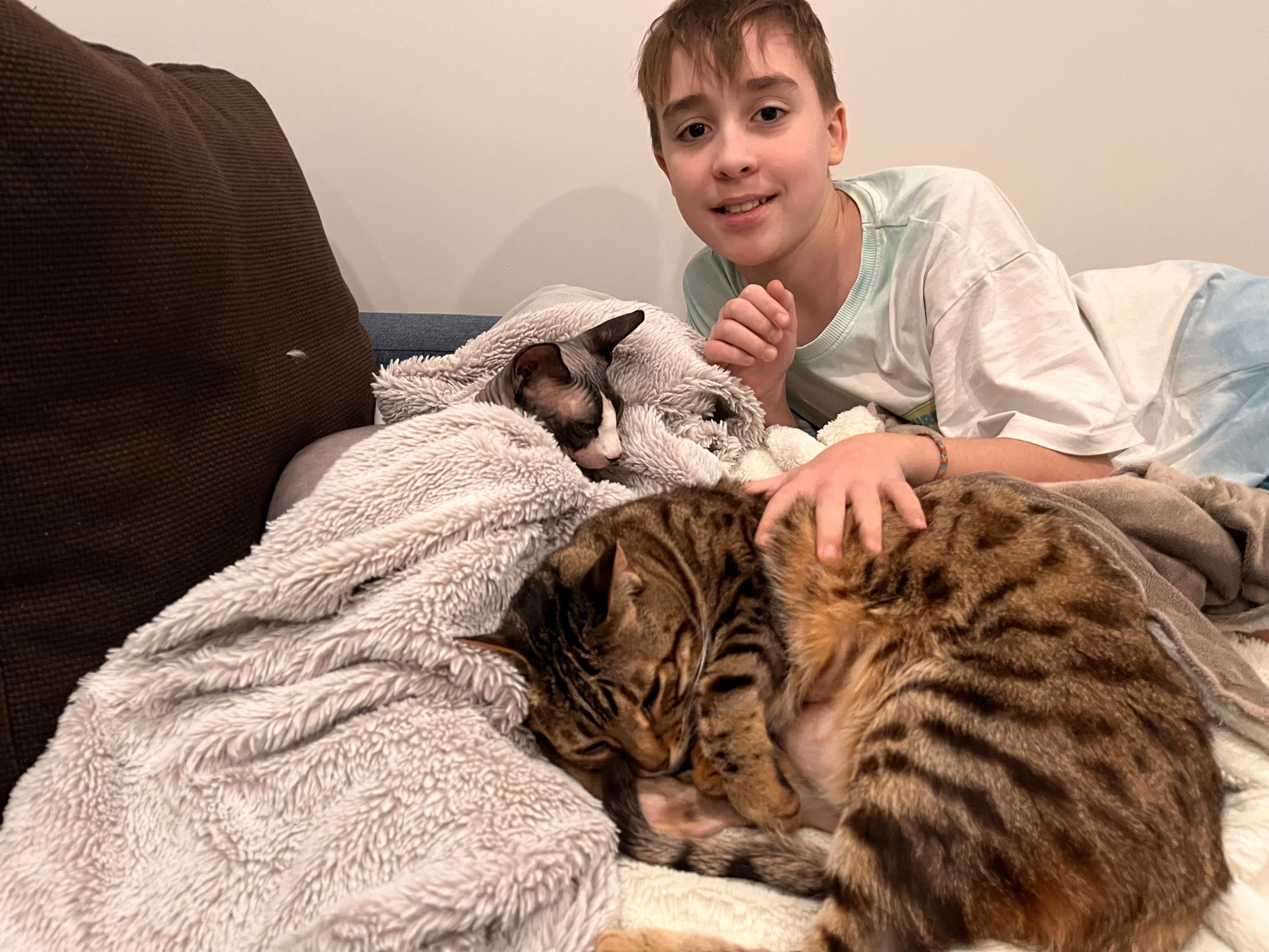 image-15