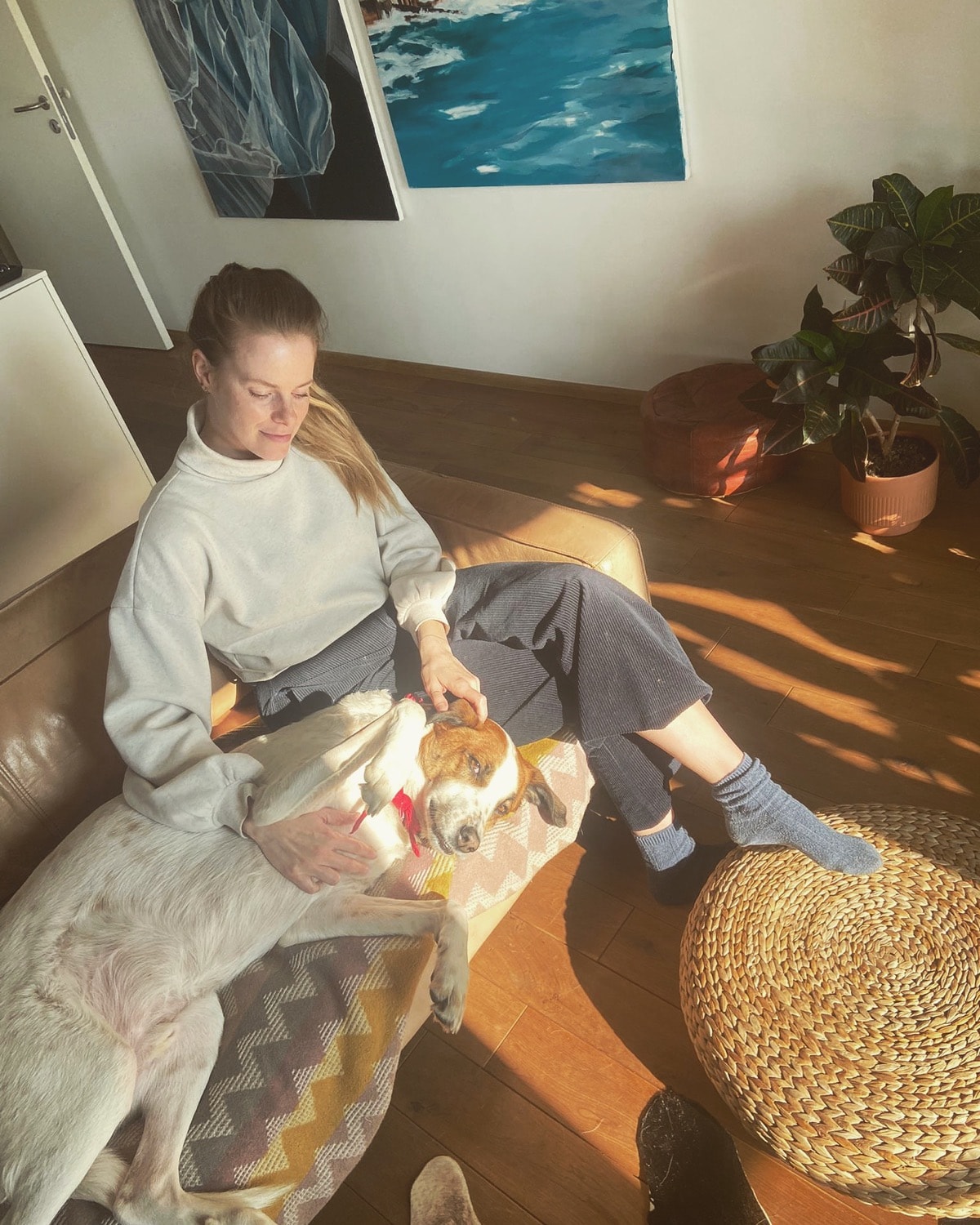 image-7