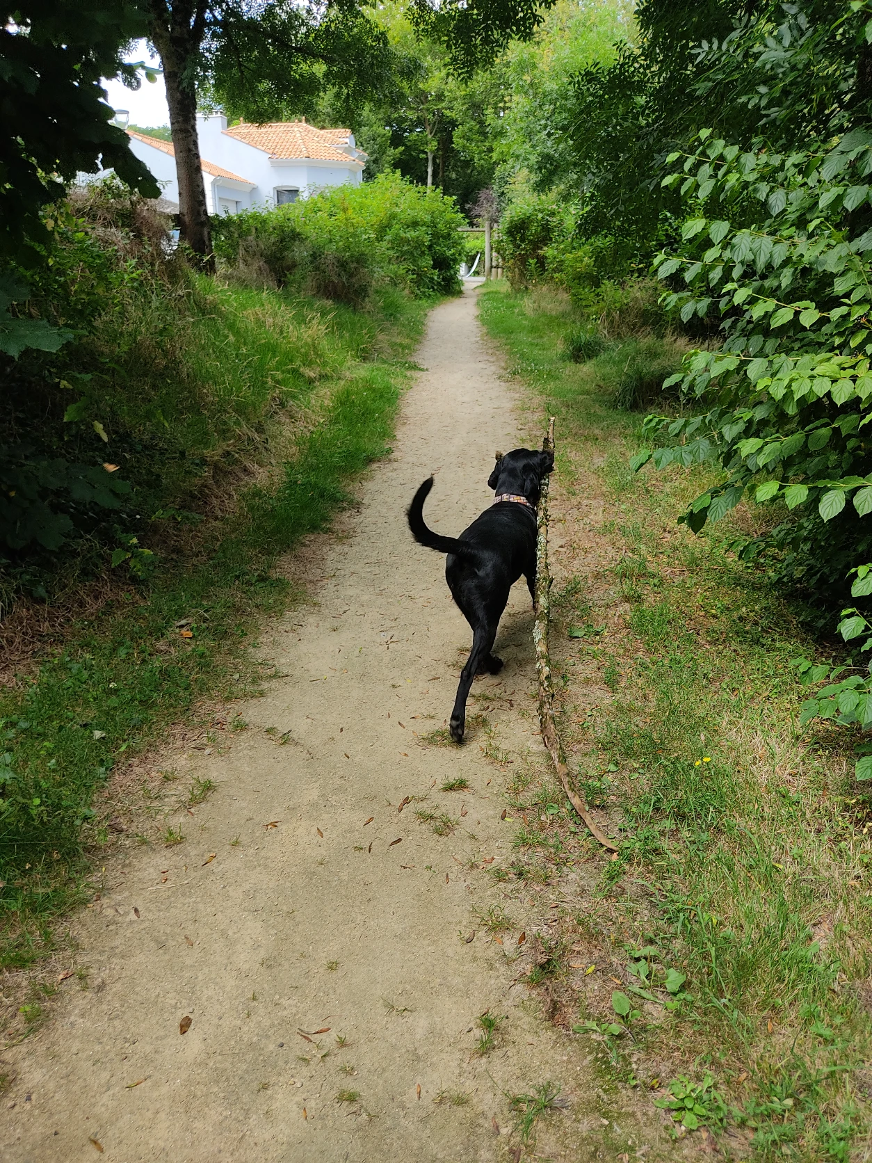 image-8