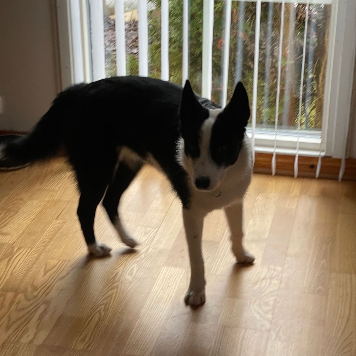 Märta
