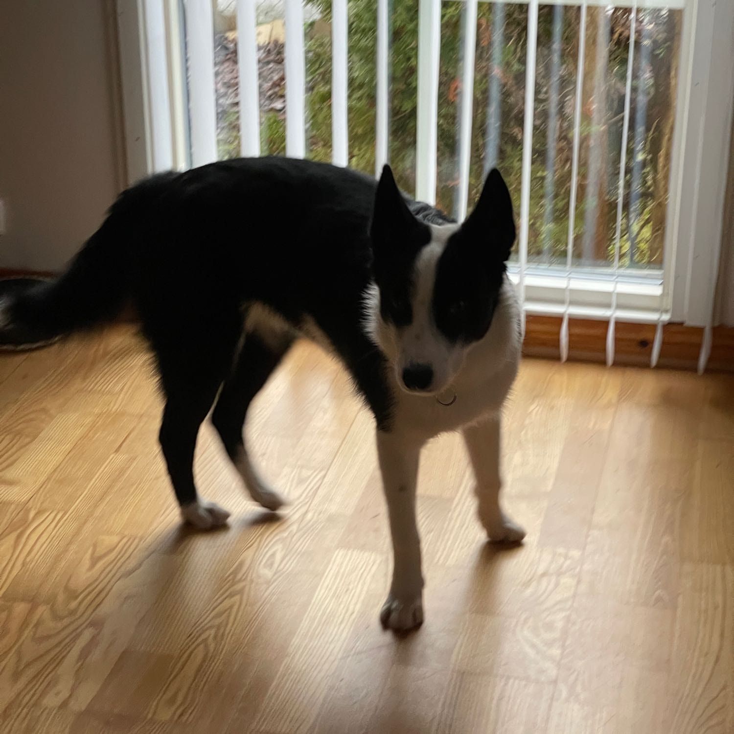 Märta
