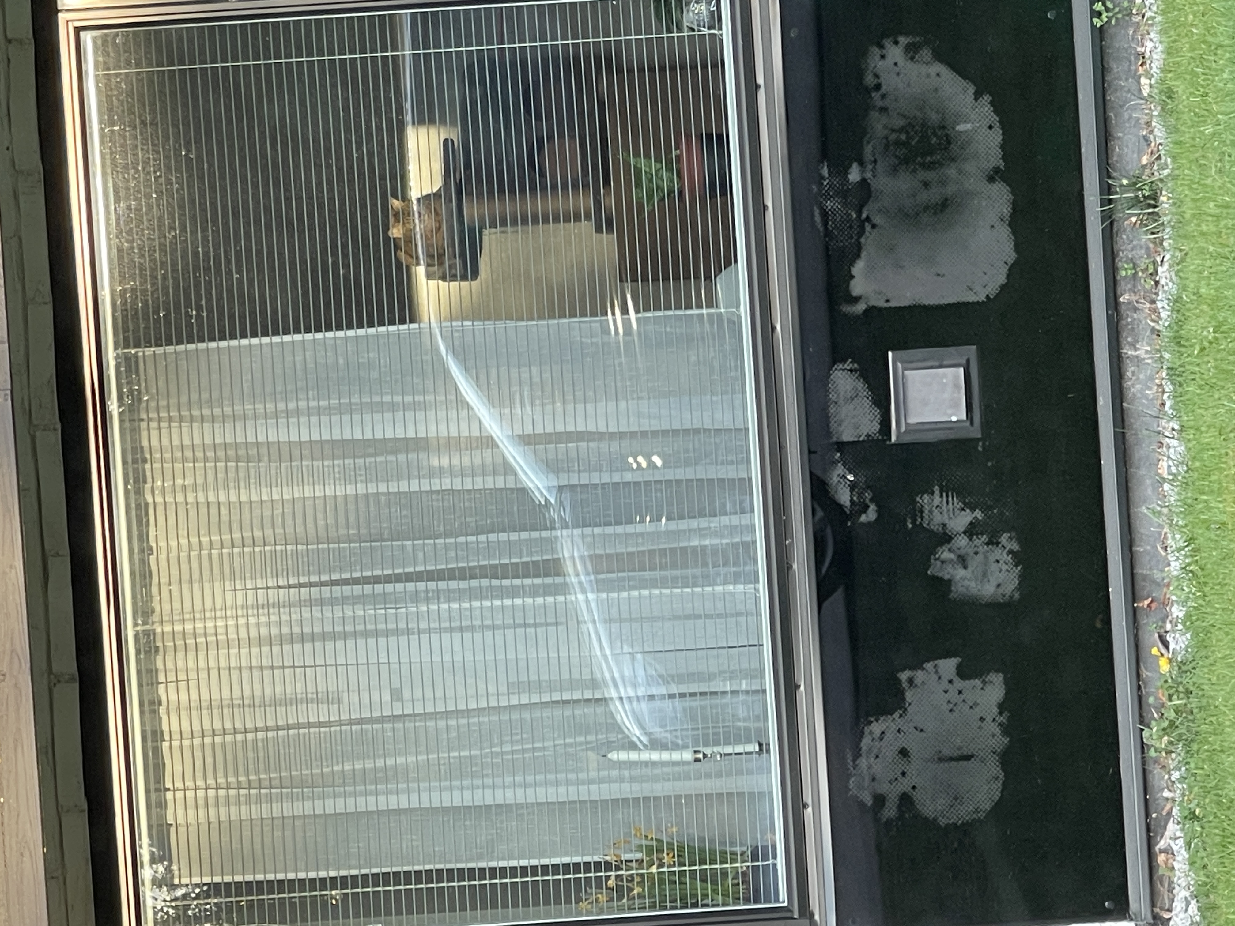 image-12
