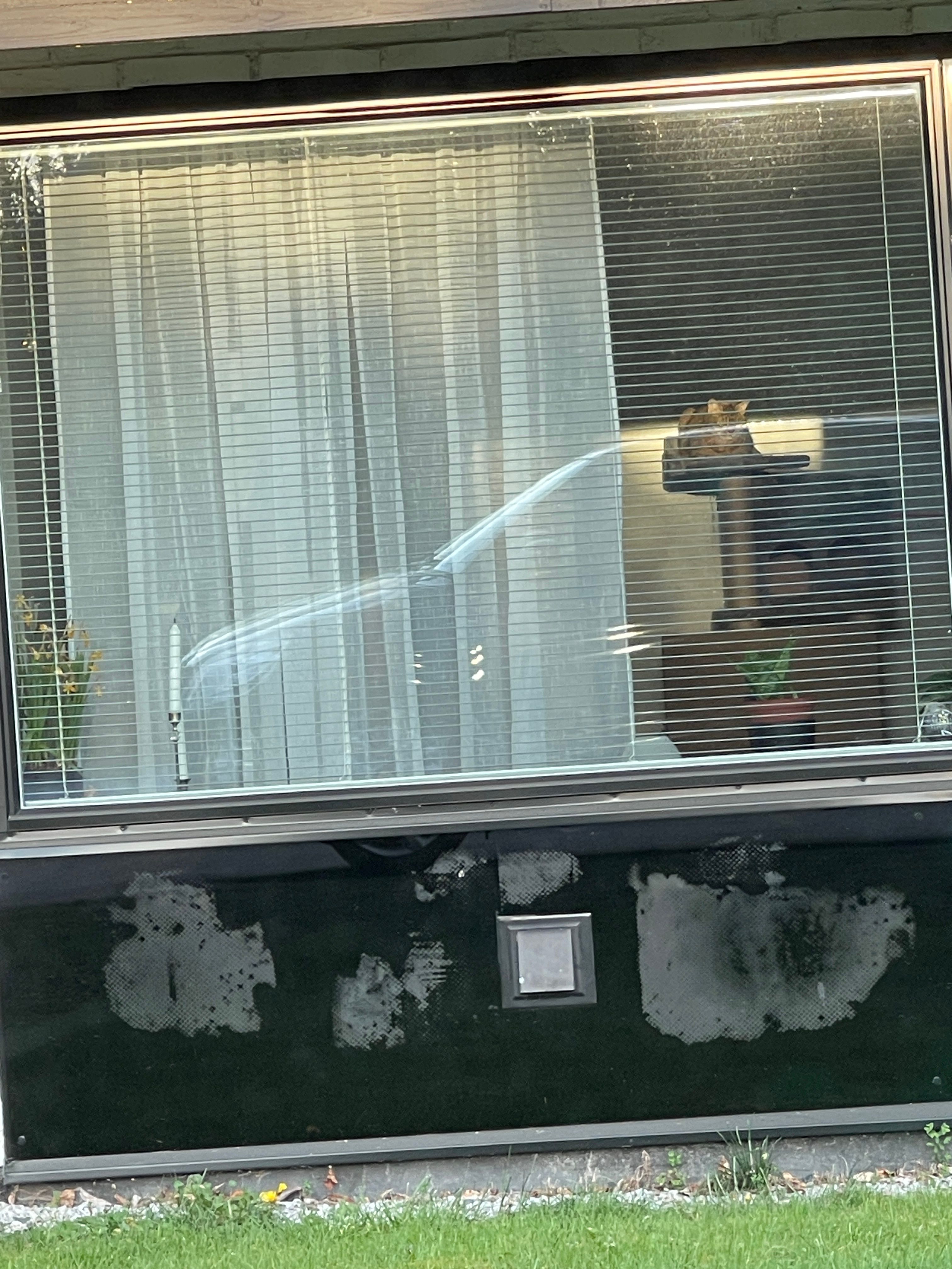 image-12
