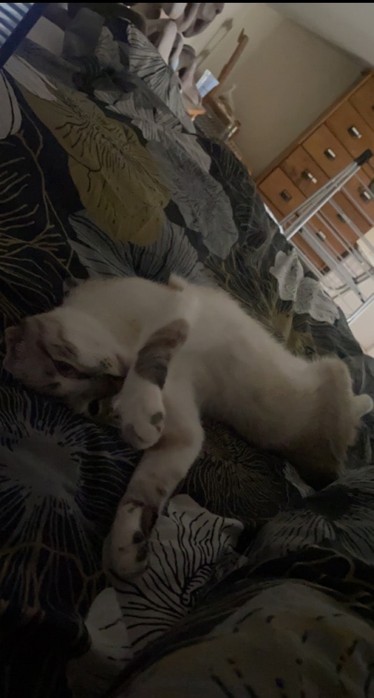 image-6