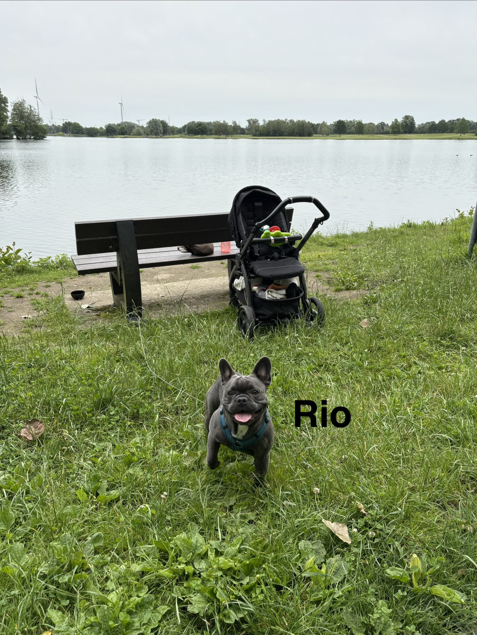 image-27