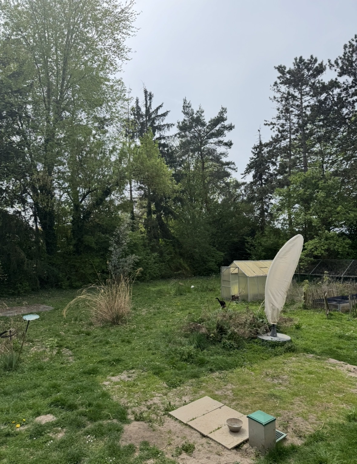 image-17