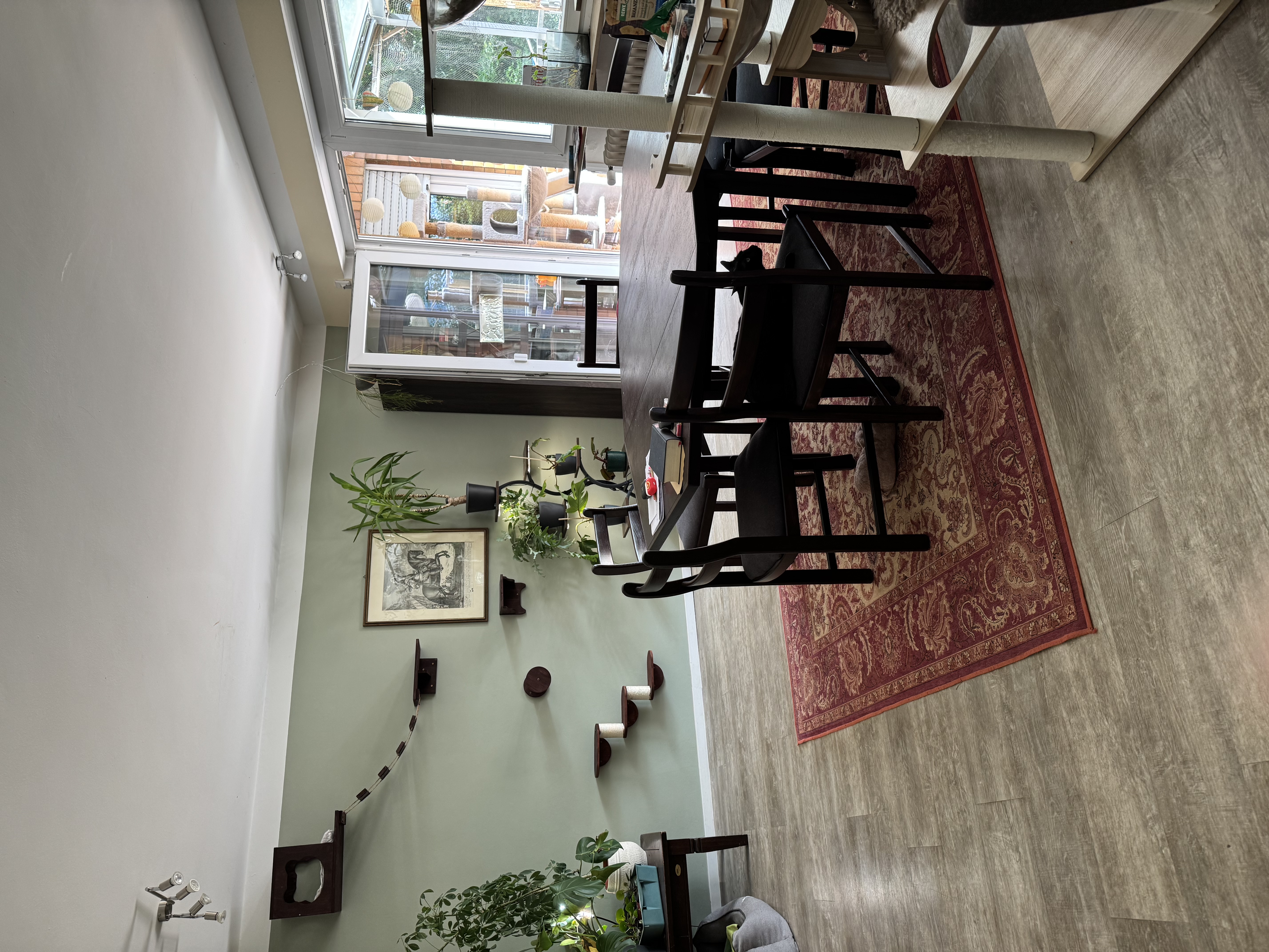 image-14