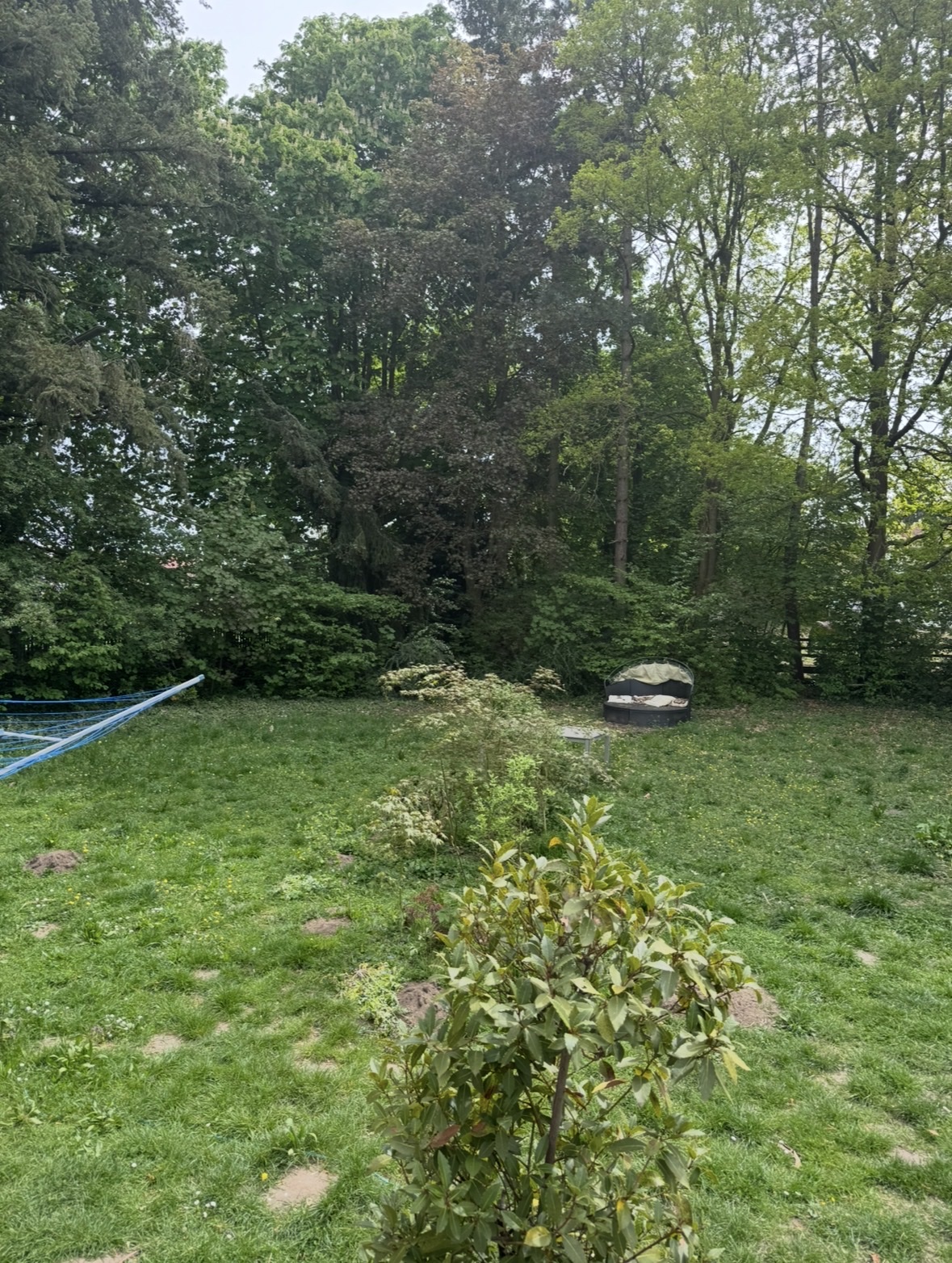 image-18
