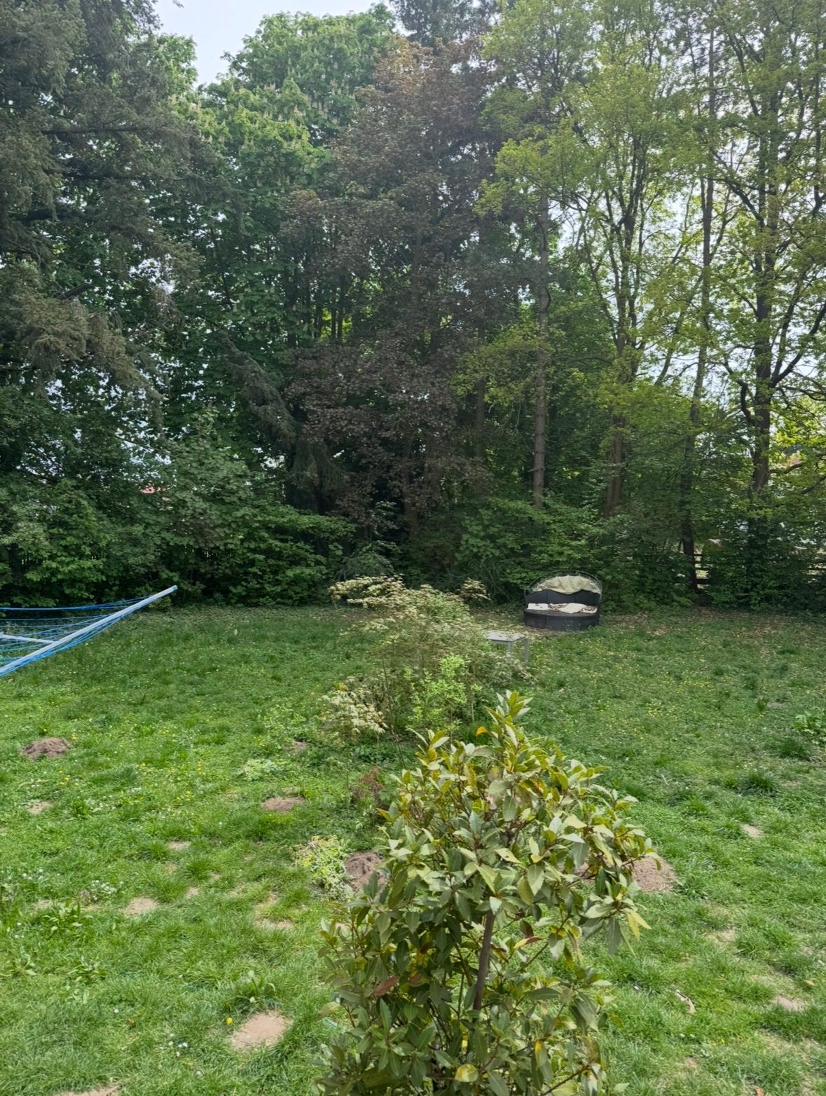 image-18