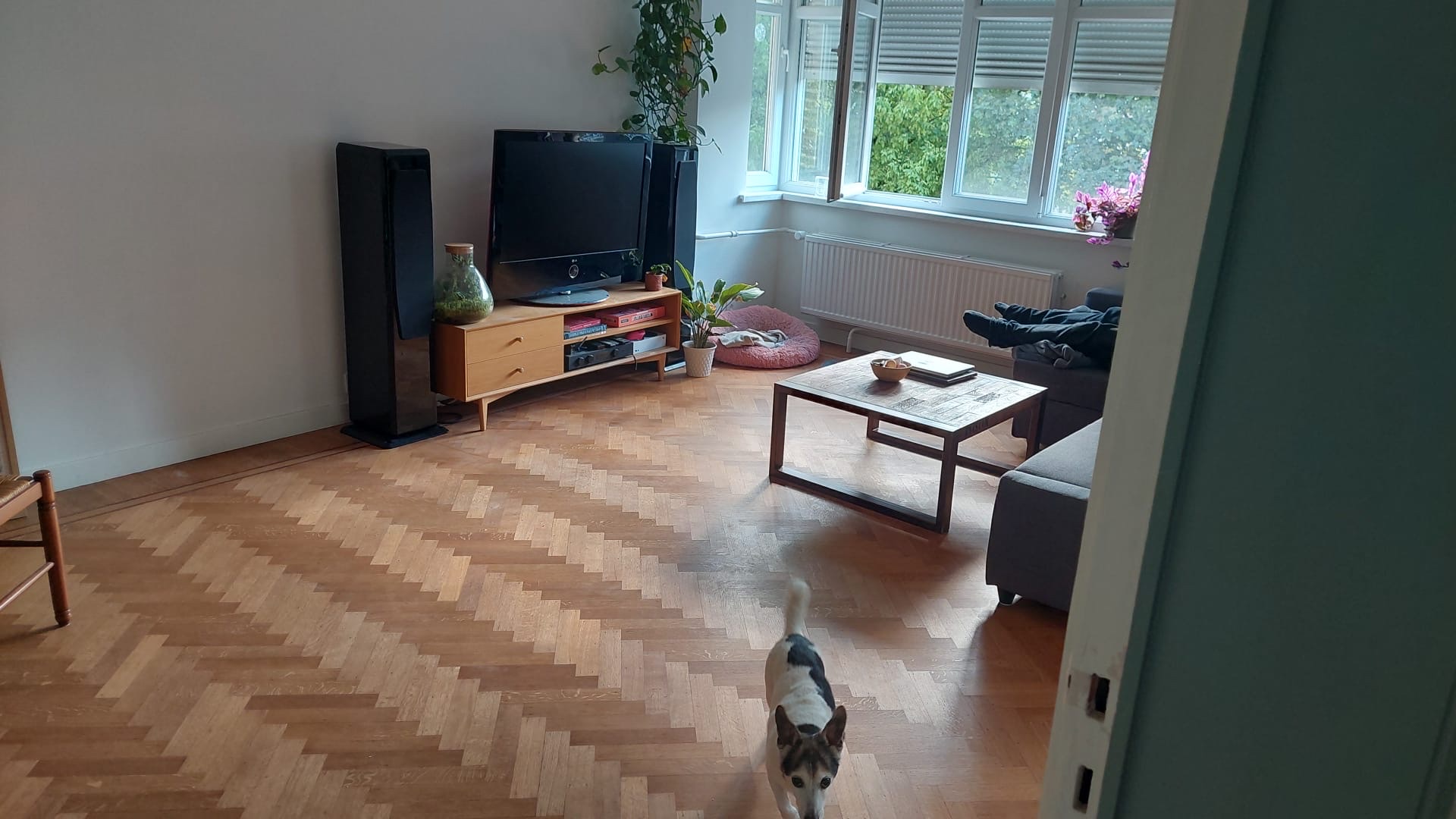 image-7
