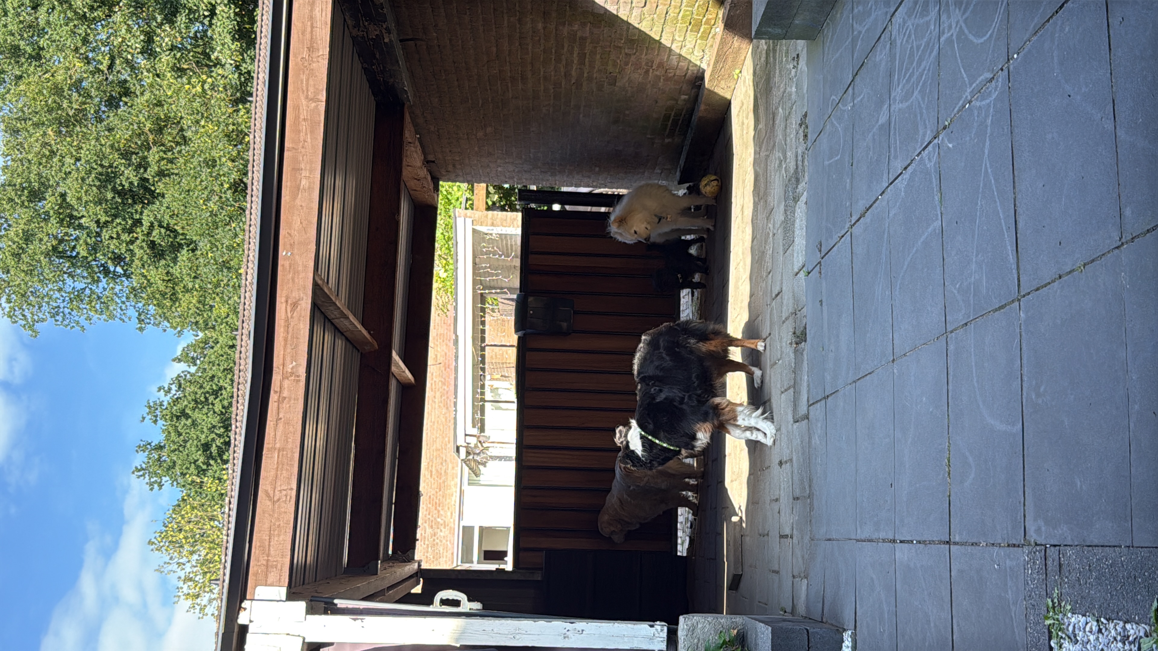image-16