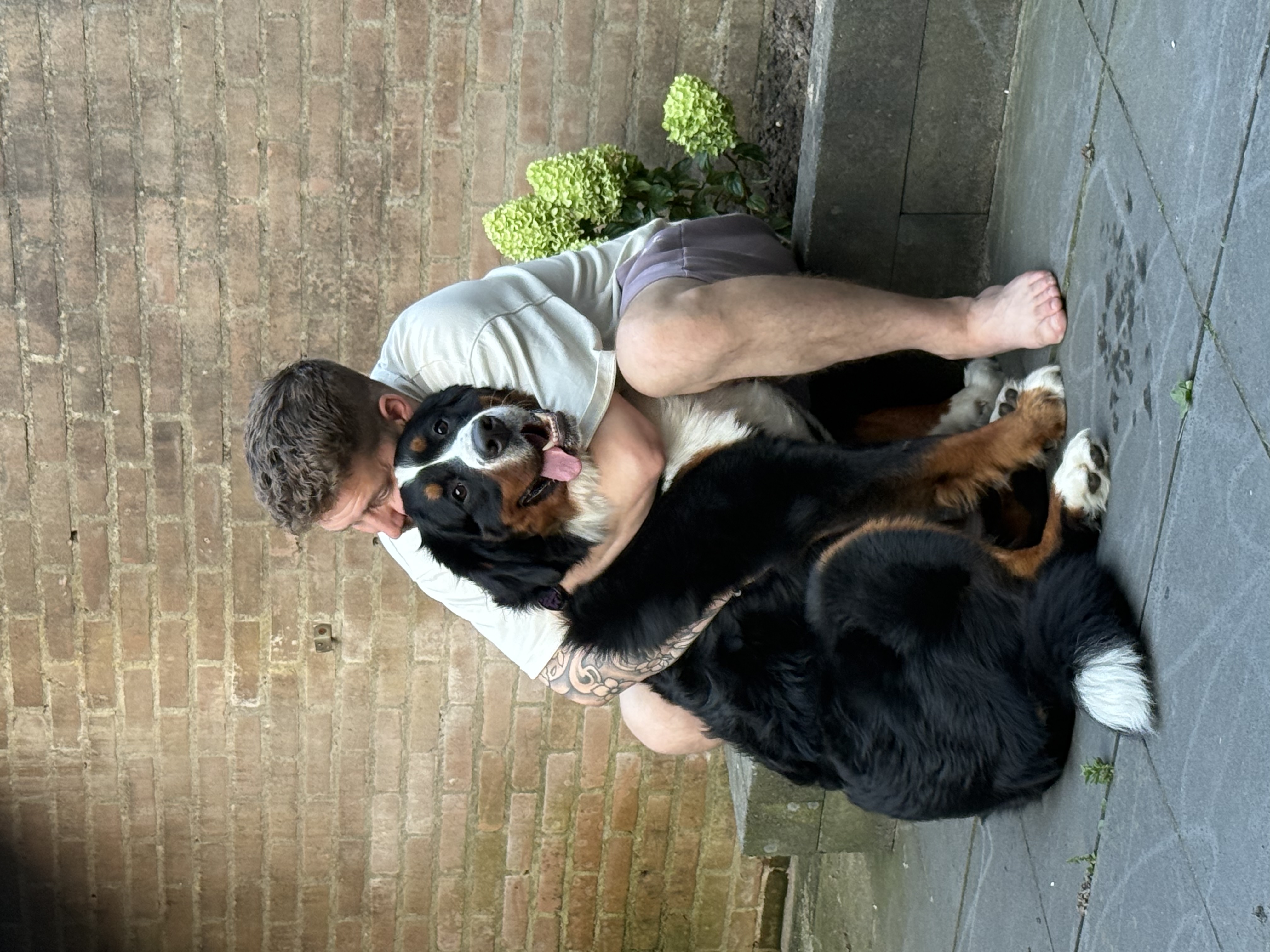 image-17