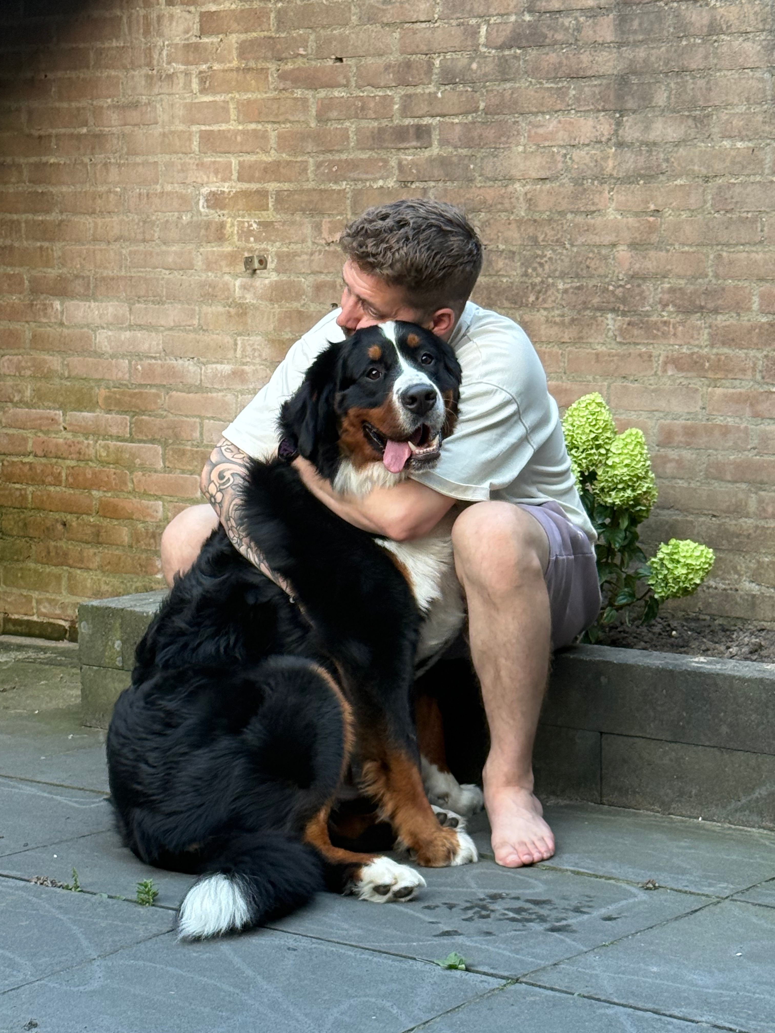 image-17